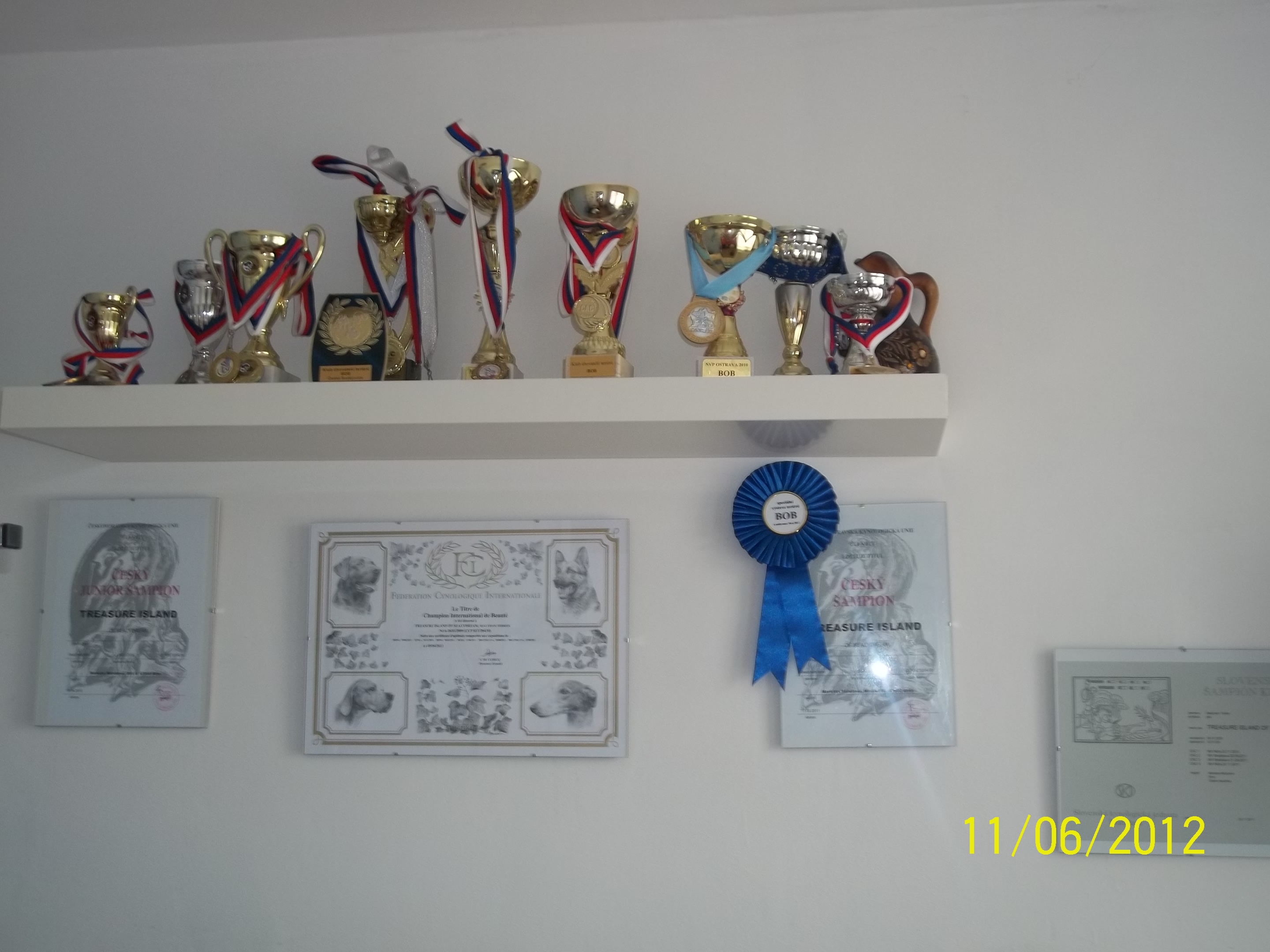 Psí salon Viky foto 2