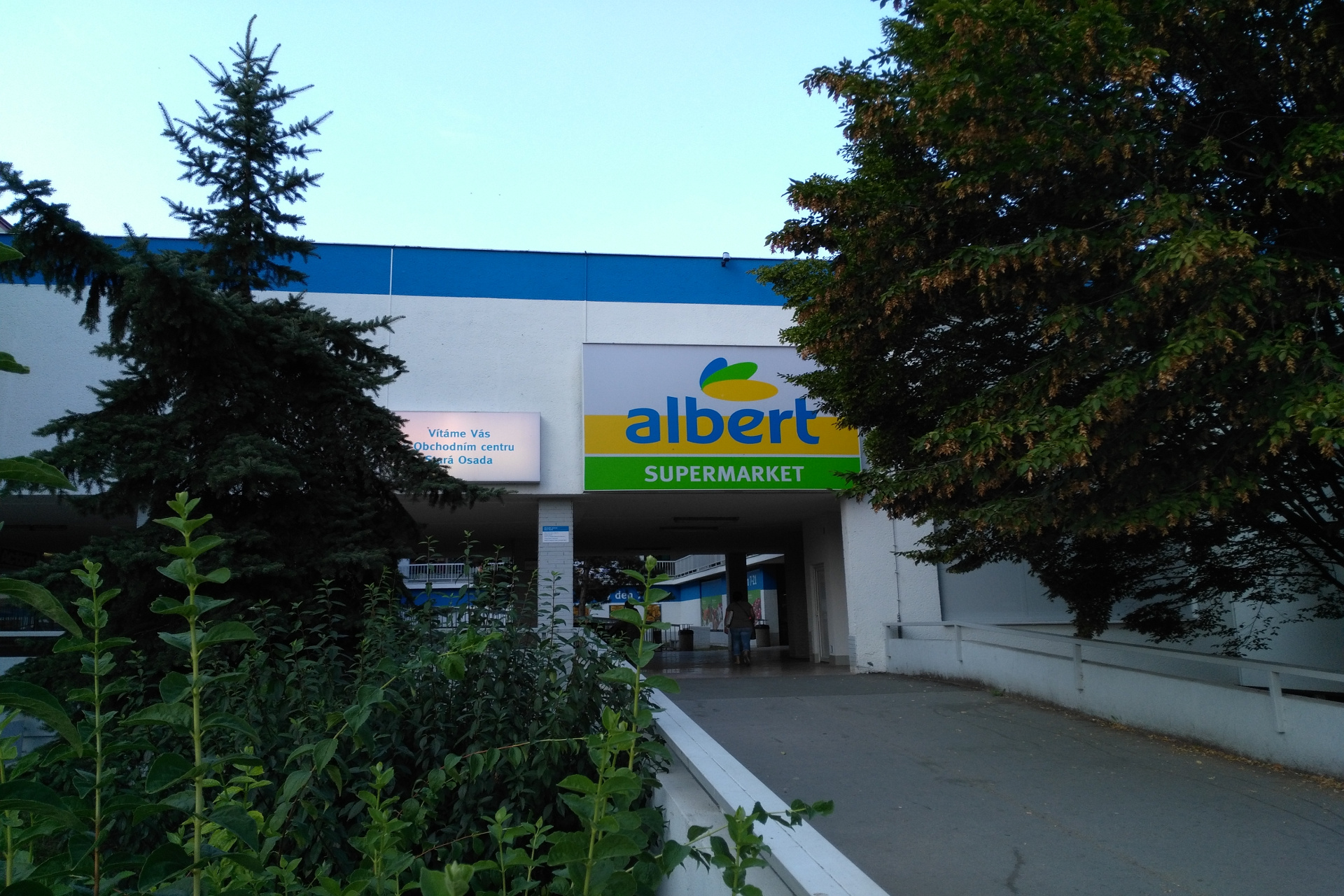 Albert Supermarket