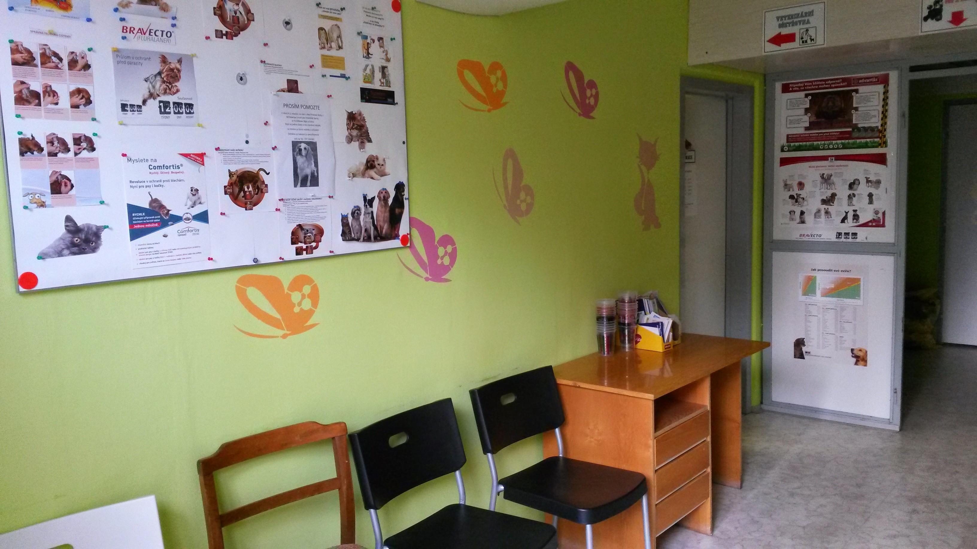 MVDr. Veronika Dočkalová - veterinární ambulance foto 3