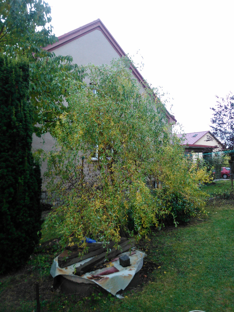Kutildomu.cz foto 3