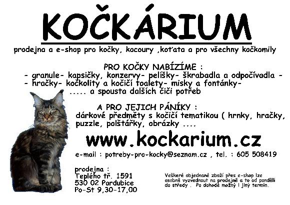 Kockarium.cz foto 3