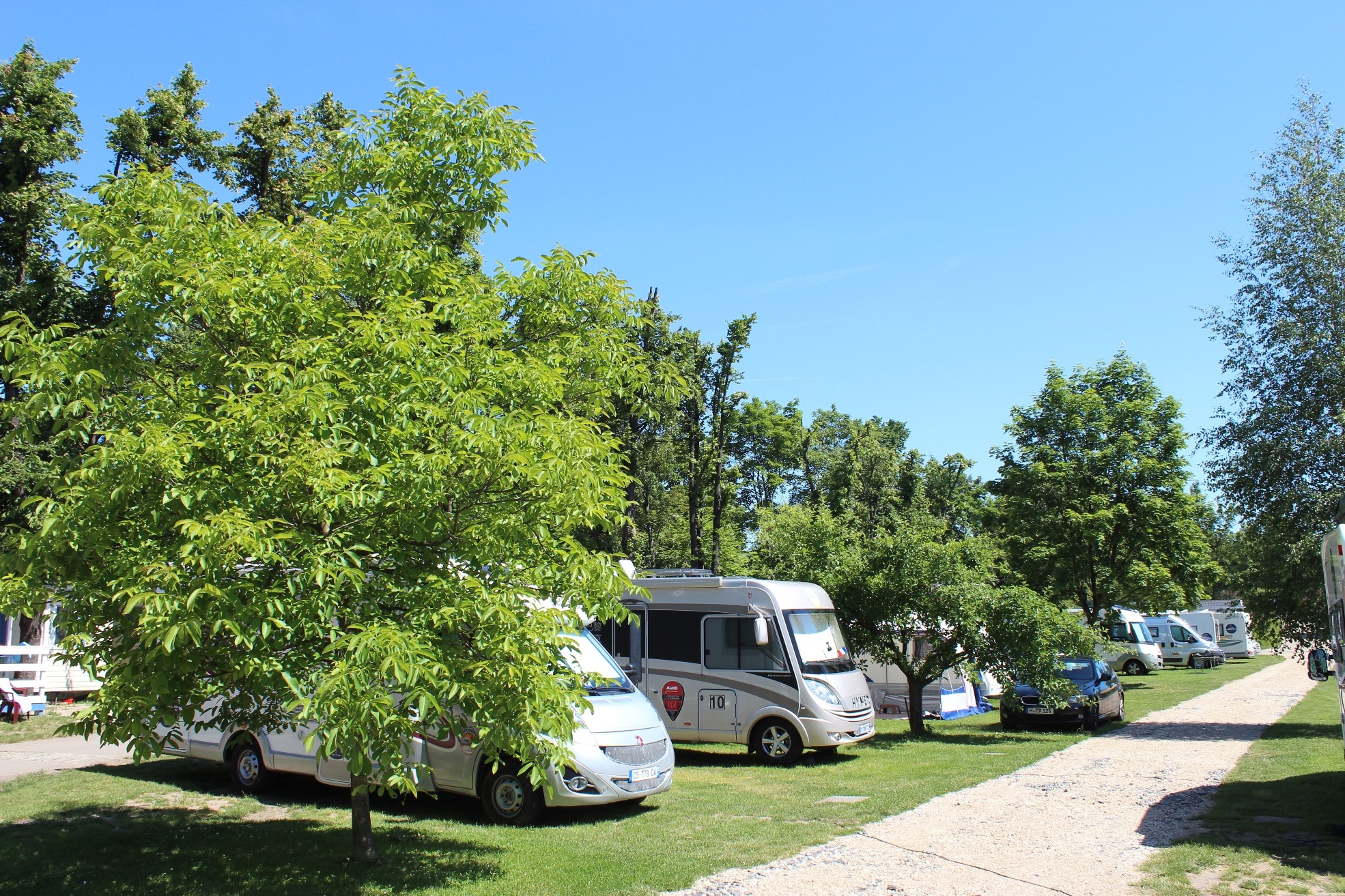 CAMPING SOKOL PRAHA **** foto 4