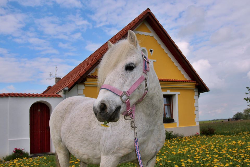 Jezdecká školka Popelka