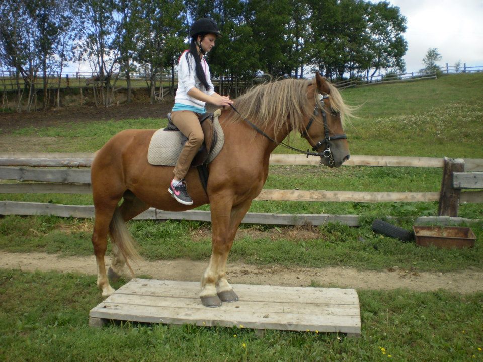 Jindřichovský dvůr foto 4