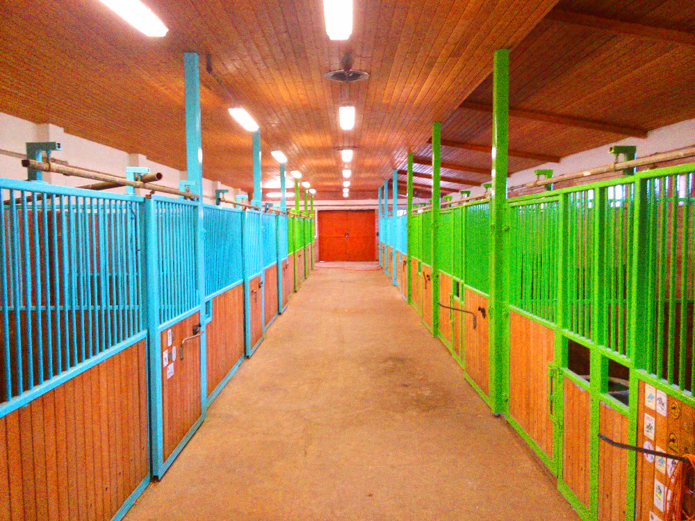 Farma U Bílého Domu foto 4