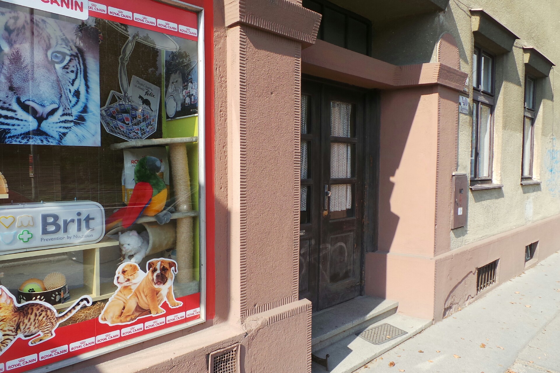 Top Arbo - Ivo Doležal