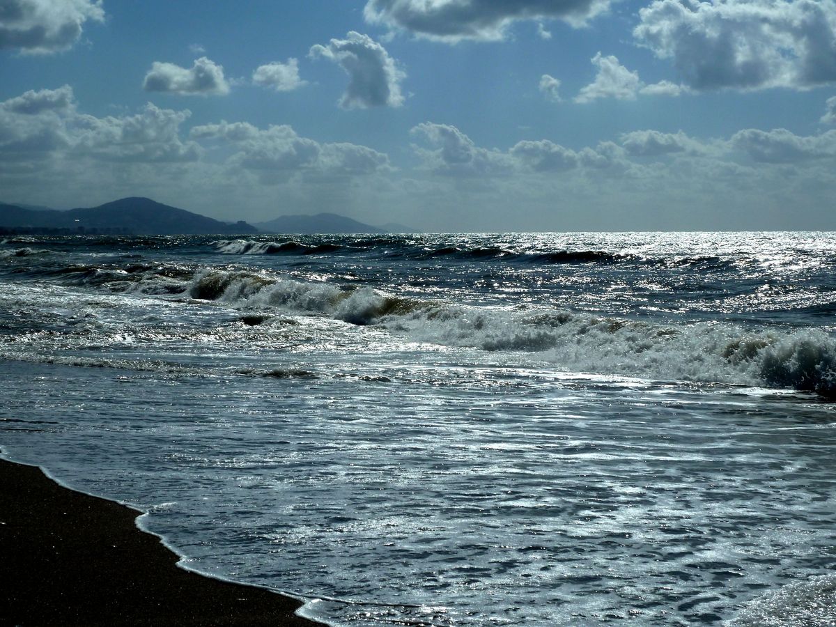 Kanárské ostrovy Online foto 4