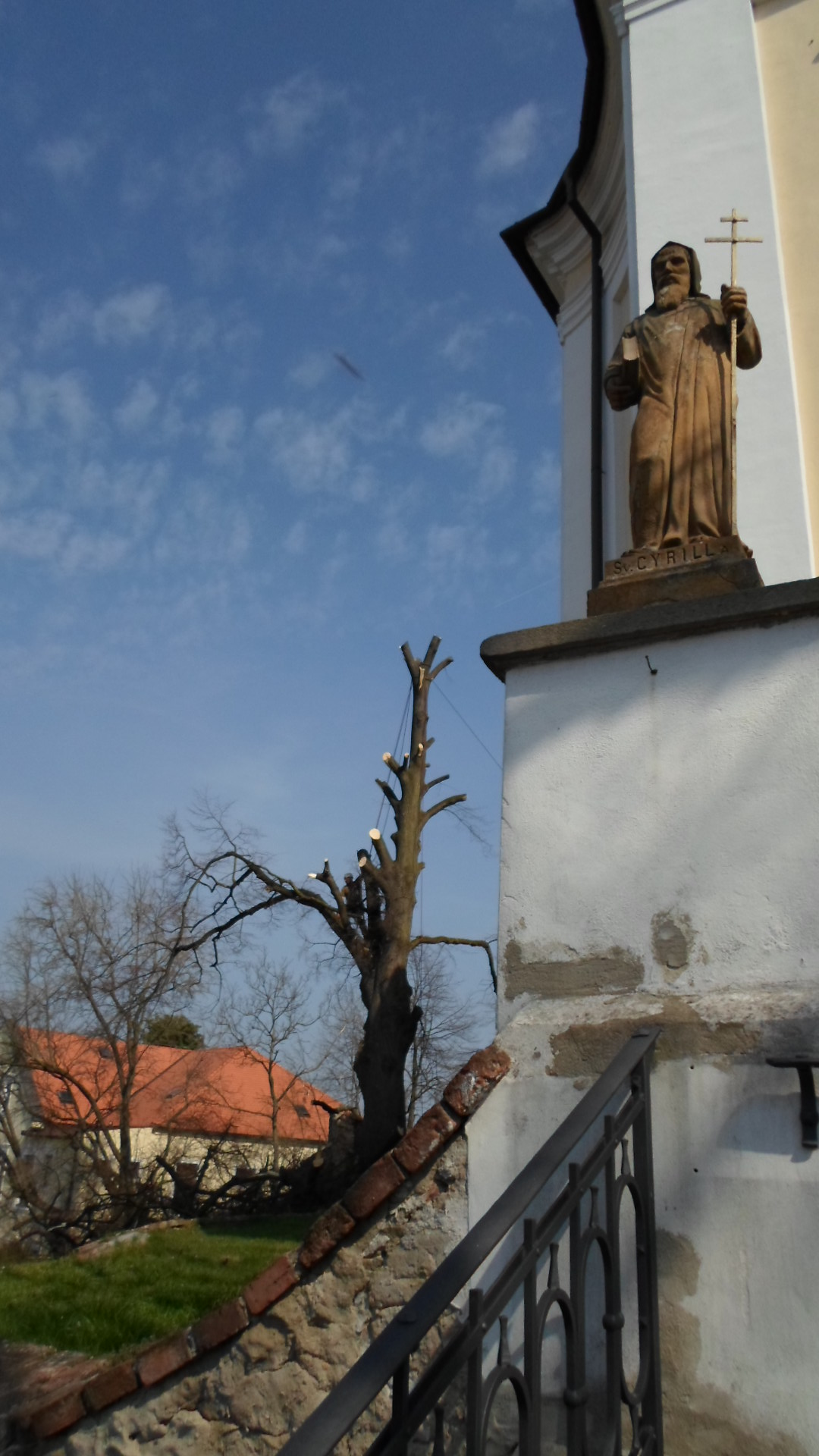 Rizikové kácení stromů - Bobr Hlodavec foto 1