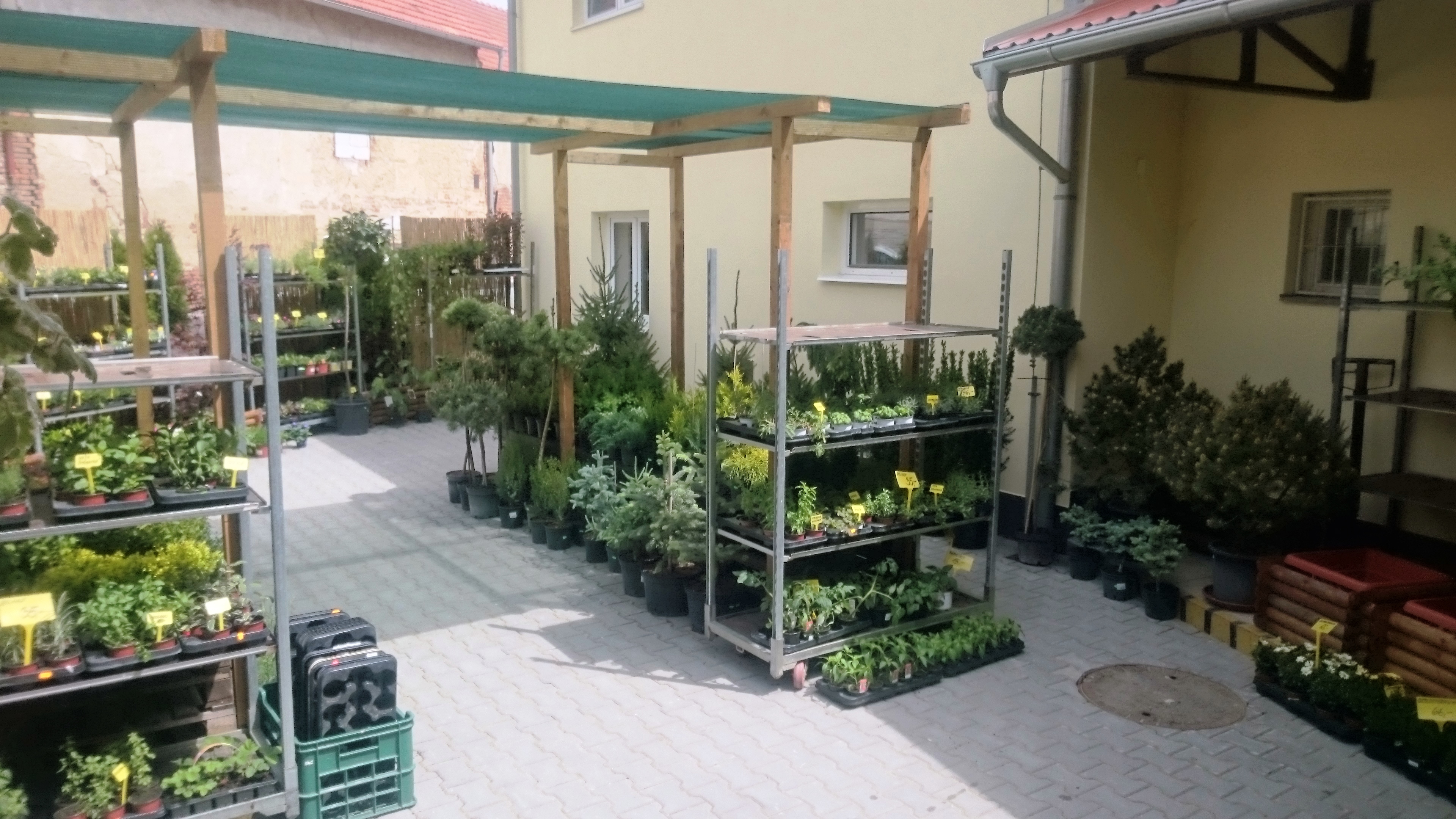 Kytkárna Veselka foto 3