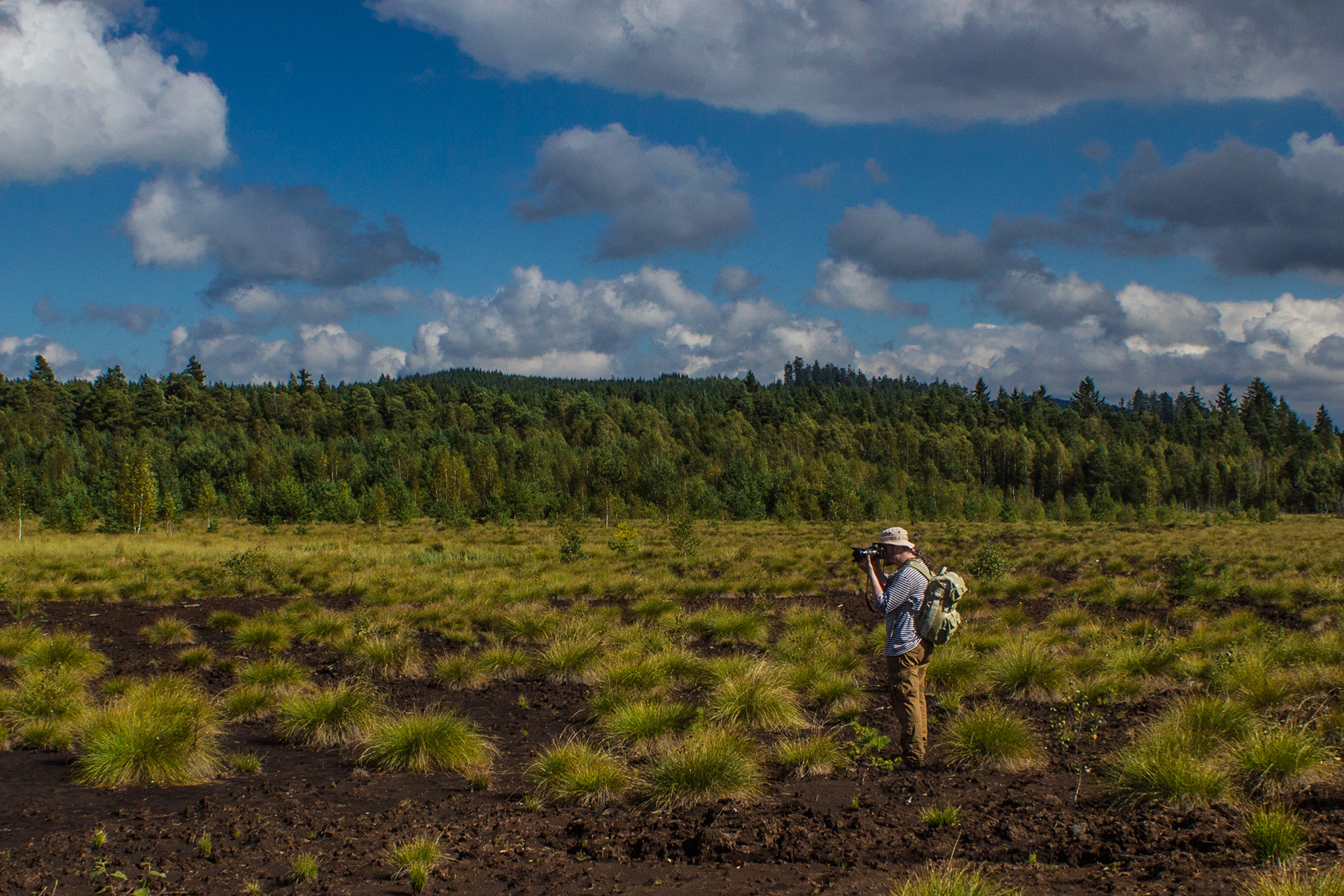 MgA. Josef Mirovský