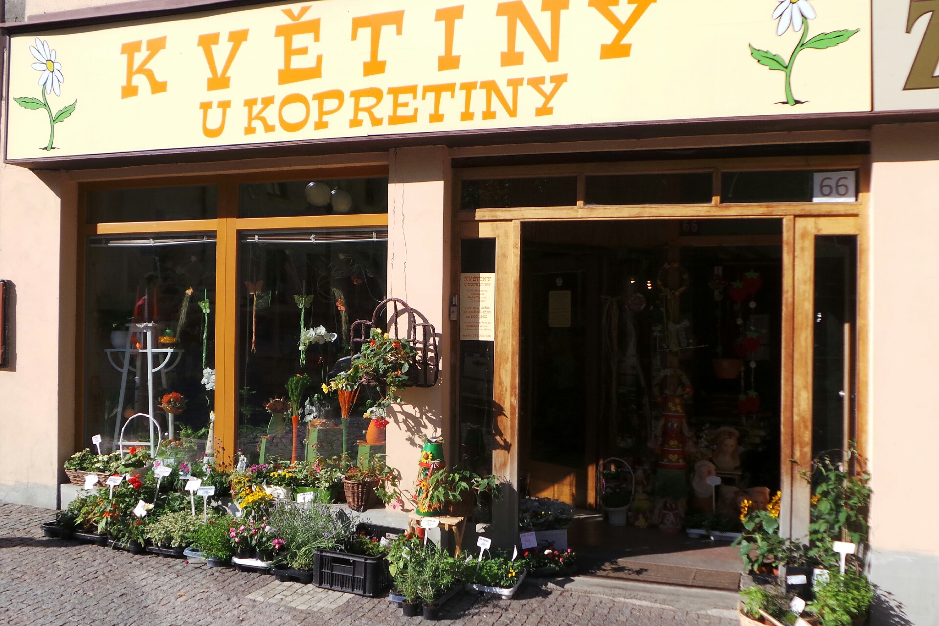 Květiny U kopretiny