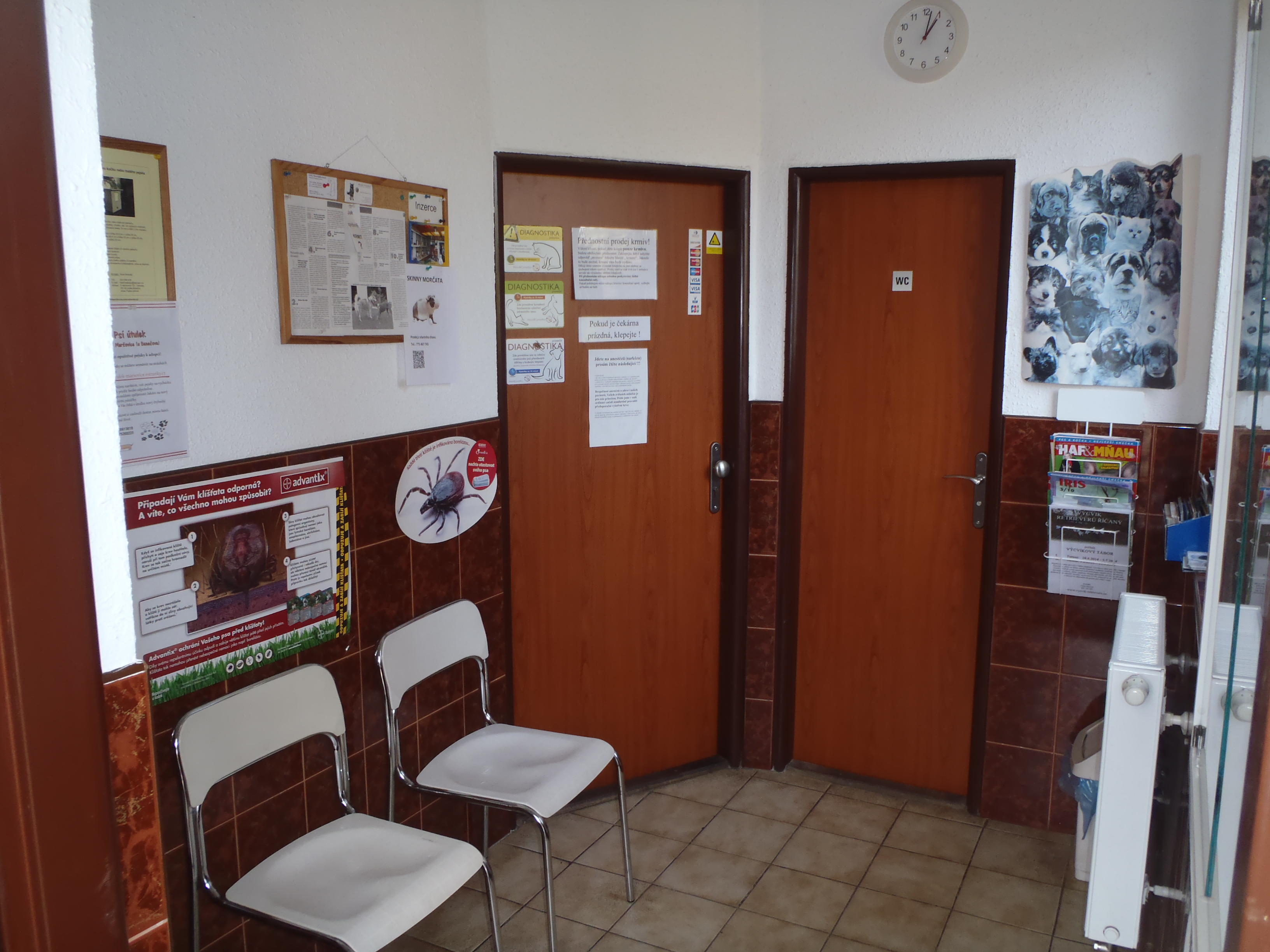 MVDr. Petr Košař - veterinární ordinace foto 3