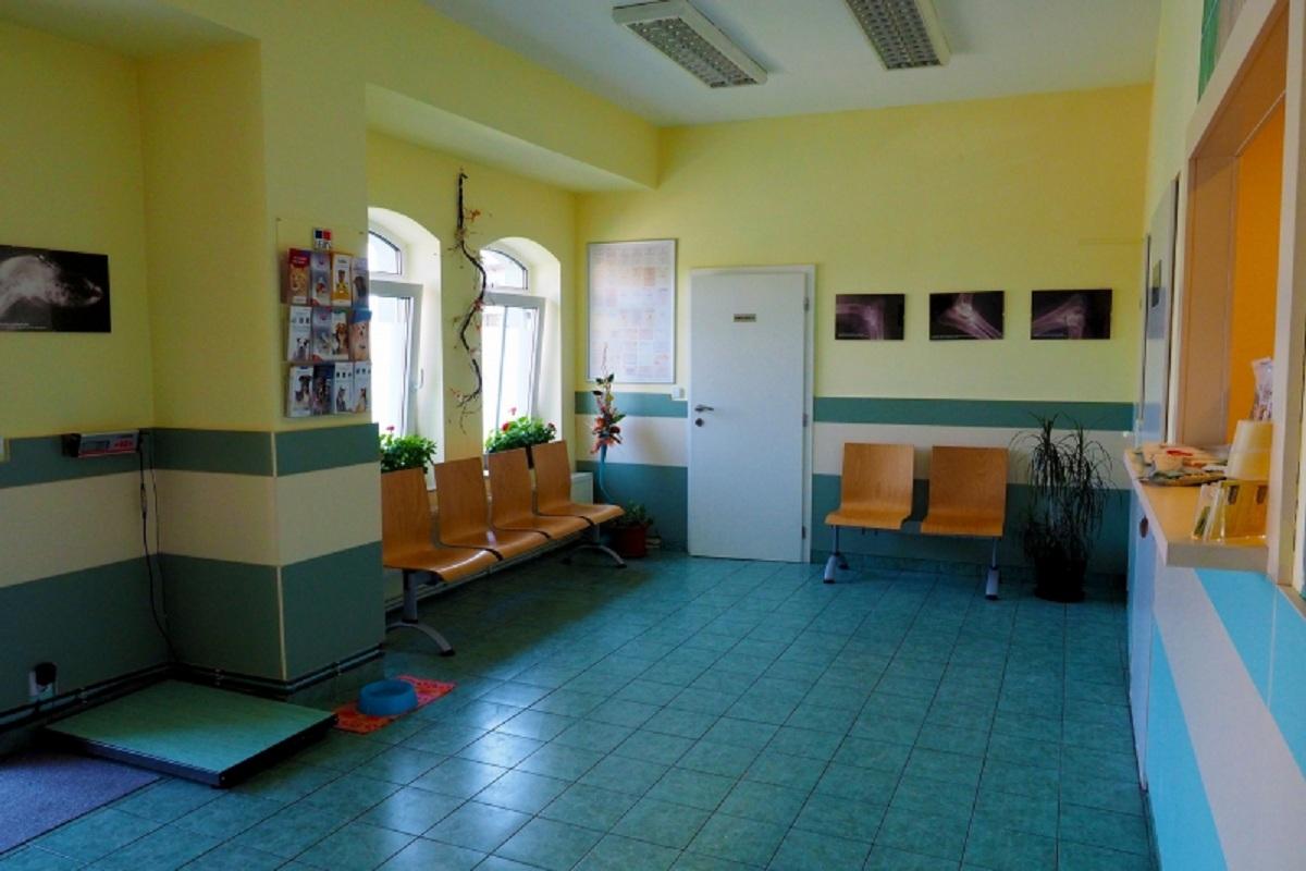 Veterinární klinika Veticea