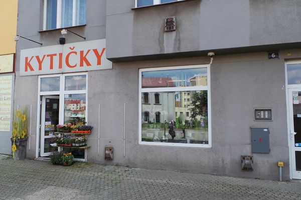 Kvetiny Palmovka (naší nabídce, nabídce naleznete, naší nabídce naleznete, Naši floristé) Kvetiny Palmovka