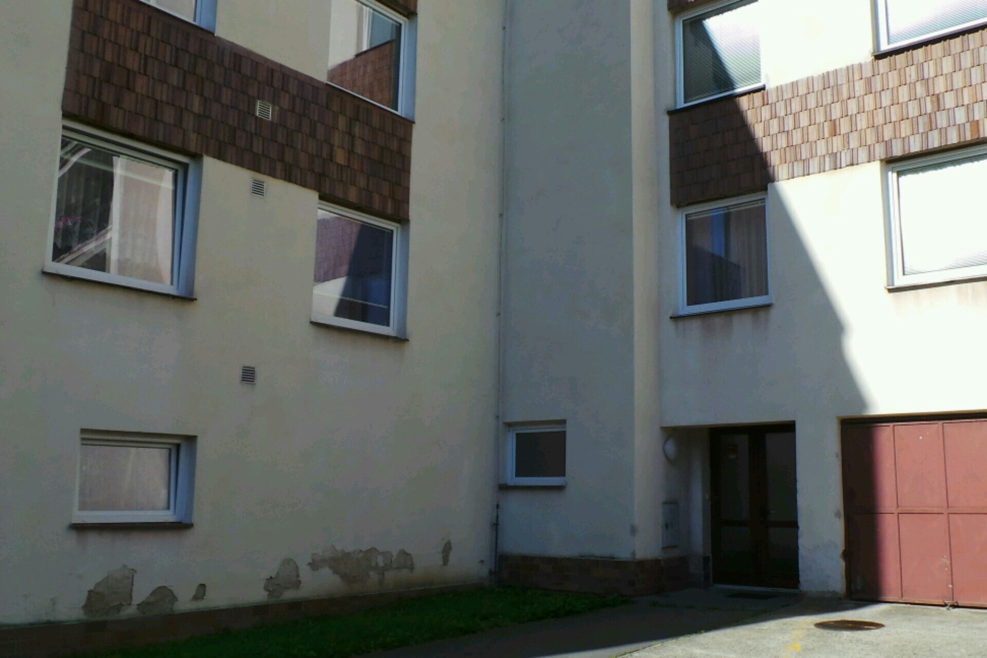 Monika Frajerová - Banksia