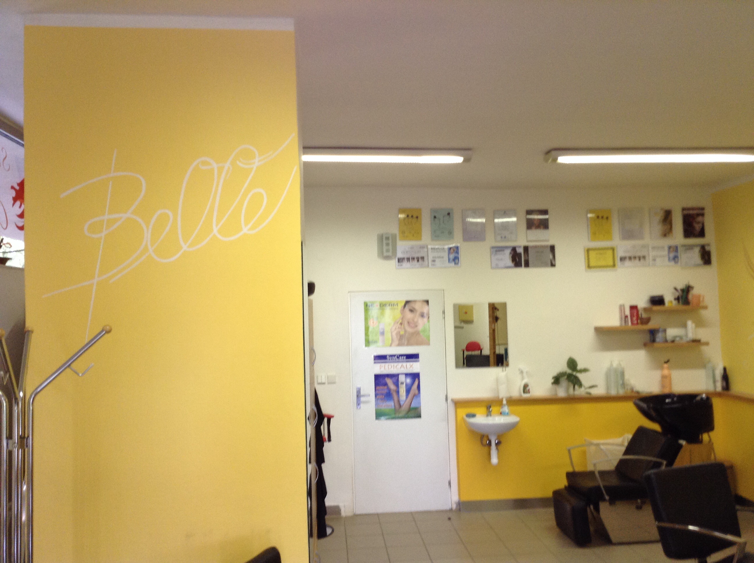 Salón-Belle foto 3