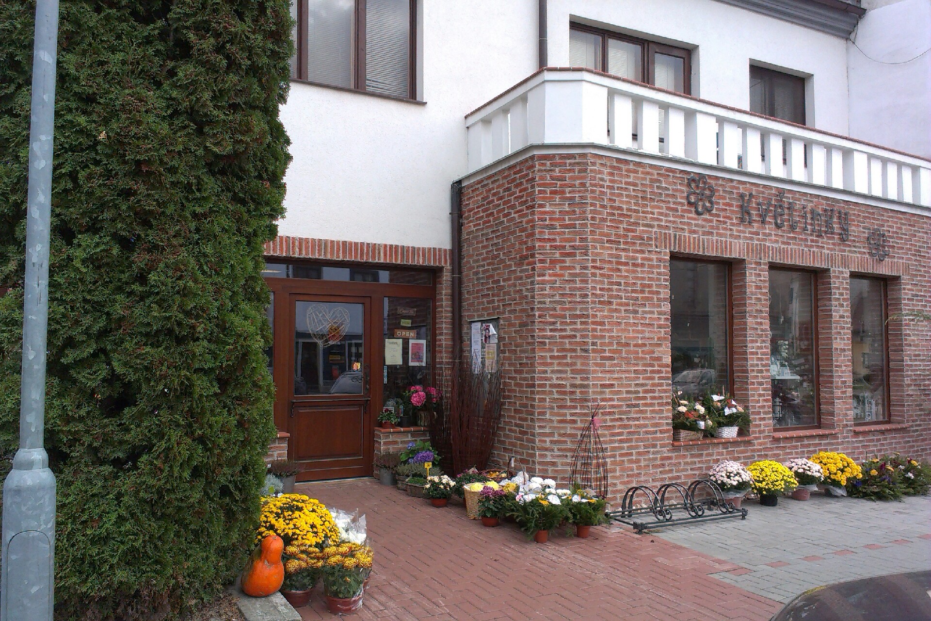 Květinky Helena Vychodilová - Patrik Mossler