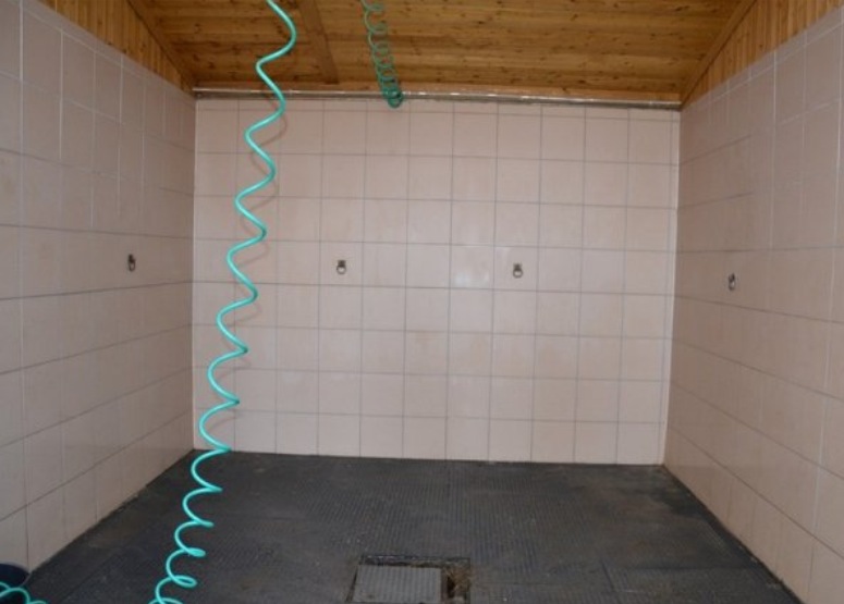 Jezdecký klub FOR-HORSES foto 4