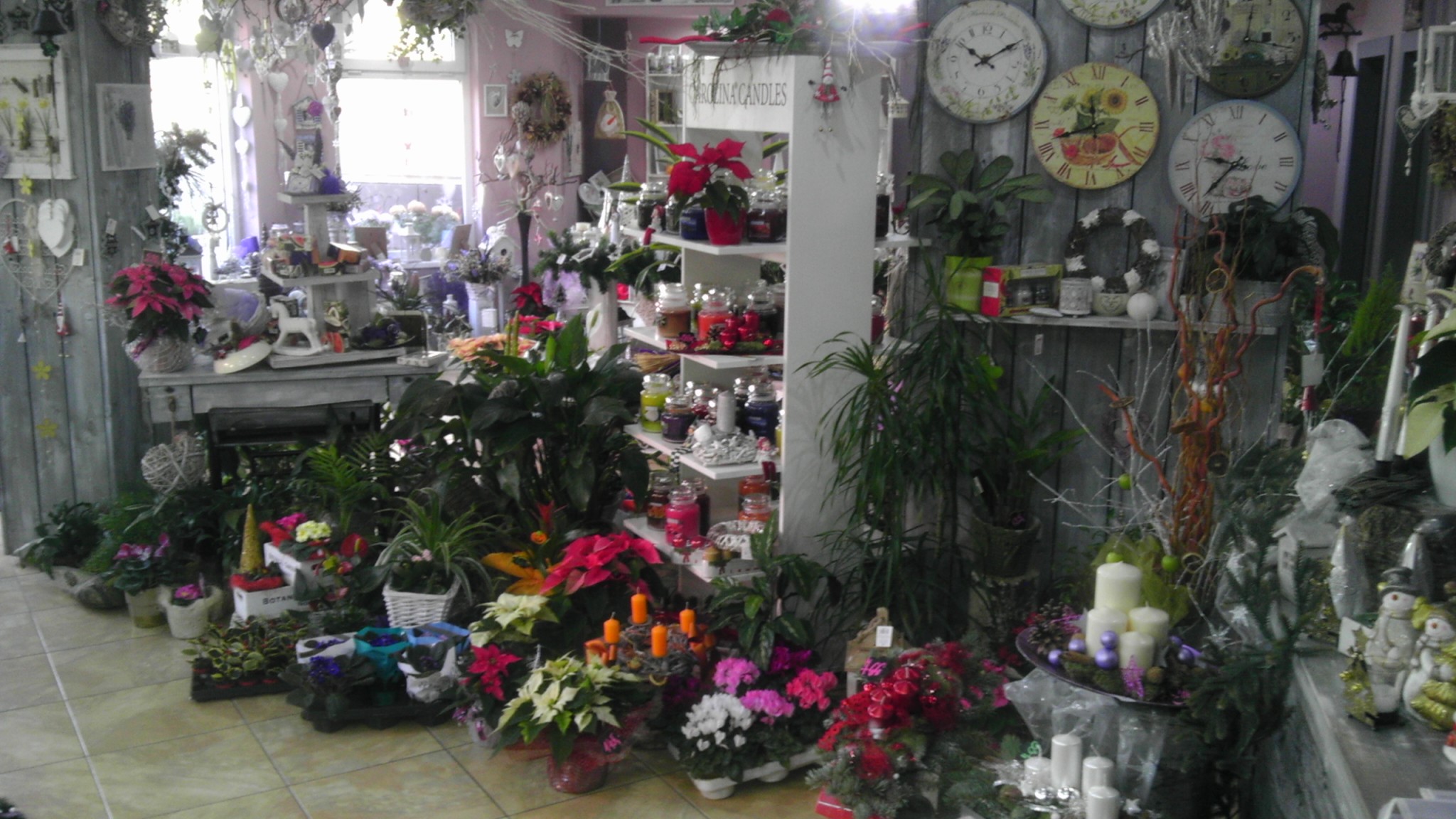 Květinářství Provance foto 3