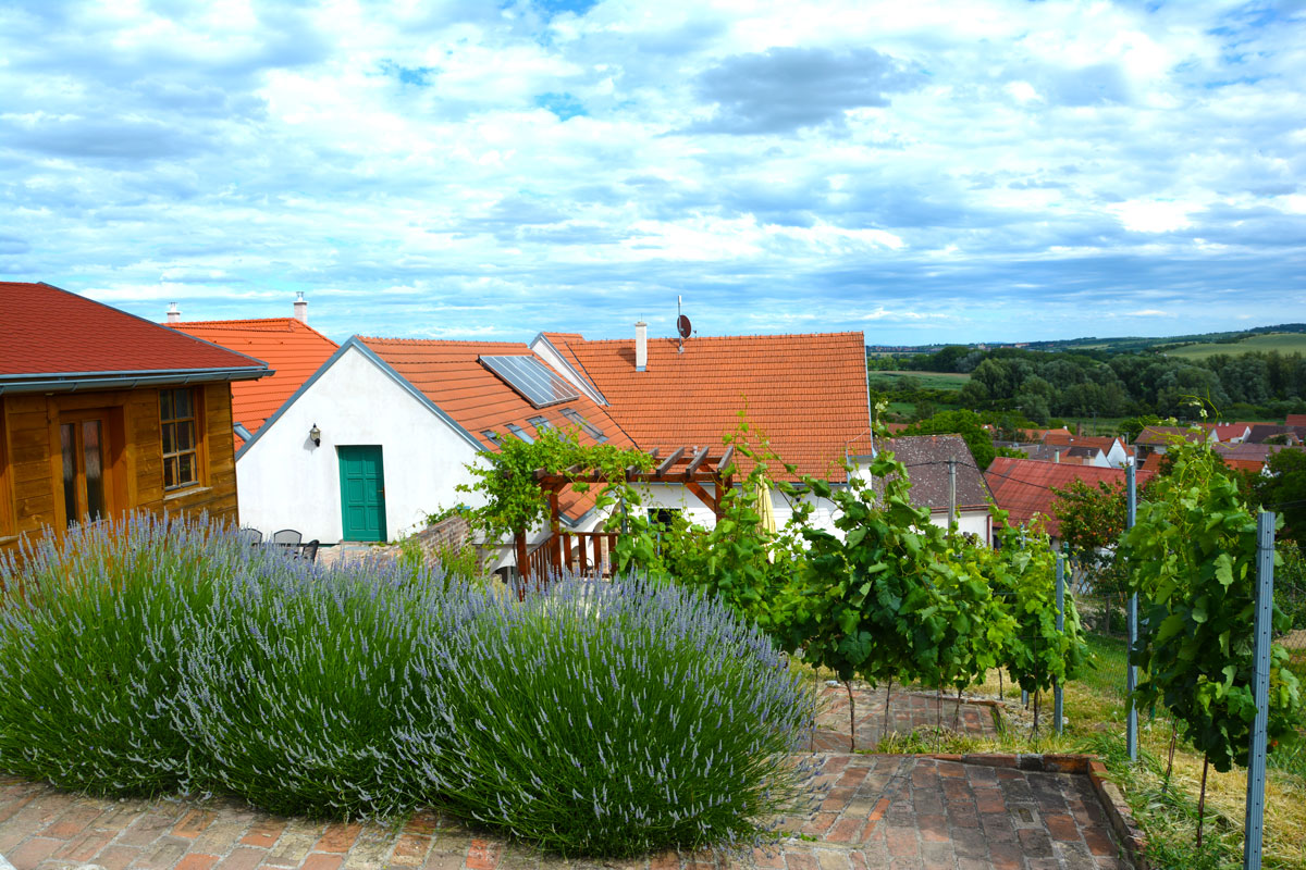 Vinařský dům Sedlec