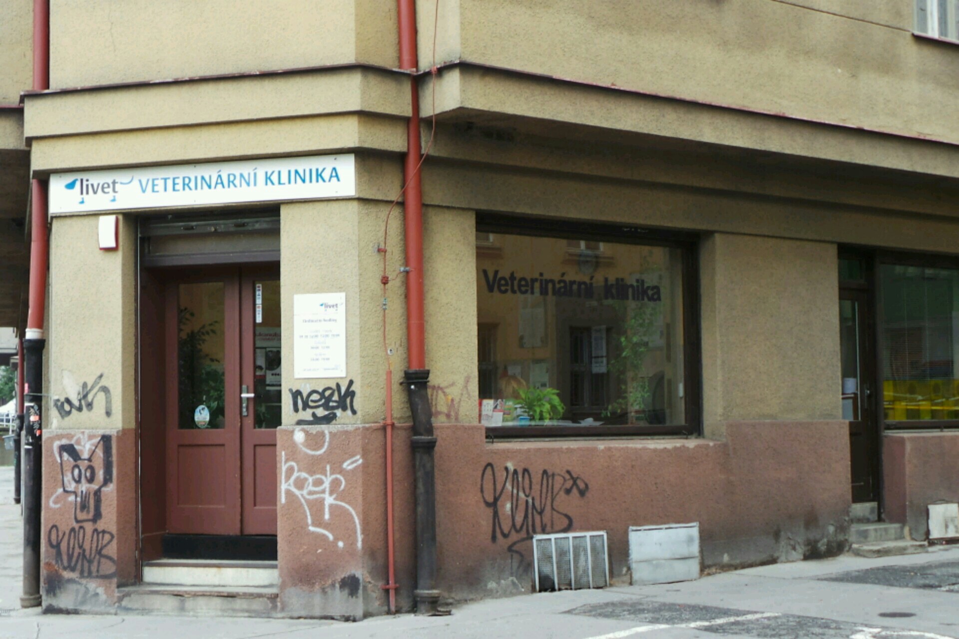 MVDr. Lenka Kychlerová foto 1