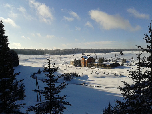 Alice Janstová - Mezi Jeleny foto 2