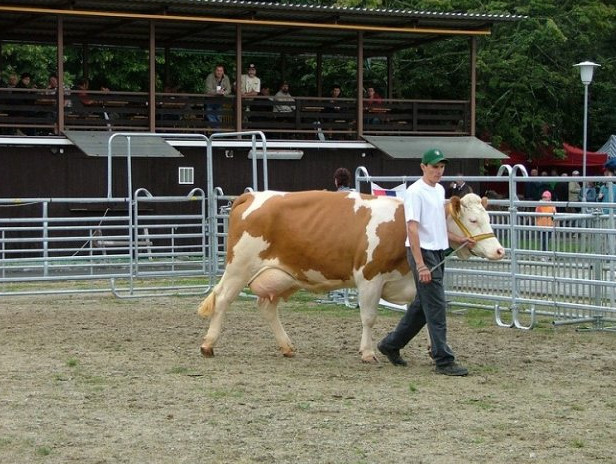 Farma u Drhovských foto 4