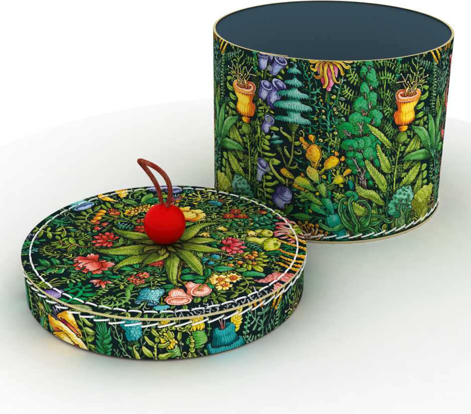 Ilustrace Magda Veverková foto 5