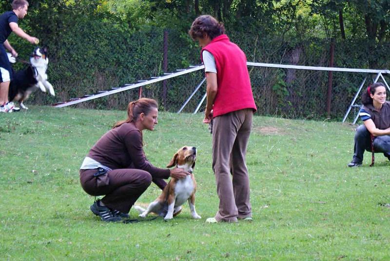 Chovatelská stanice Vetřelec foto 4