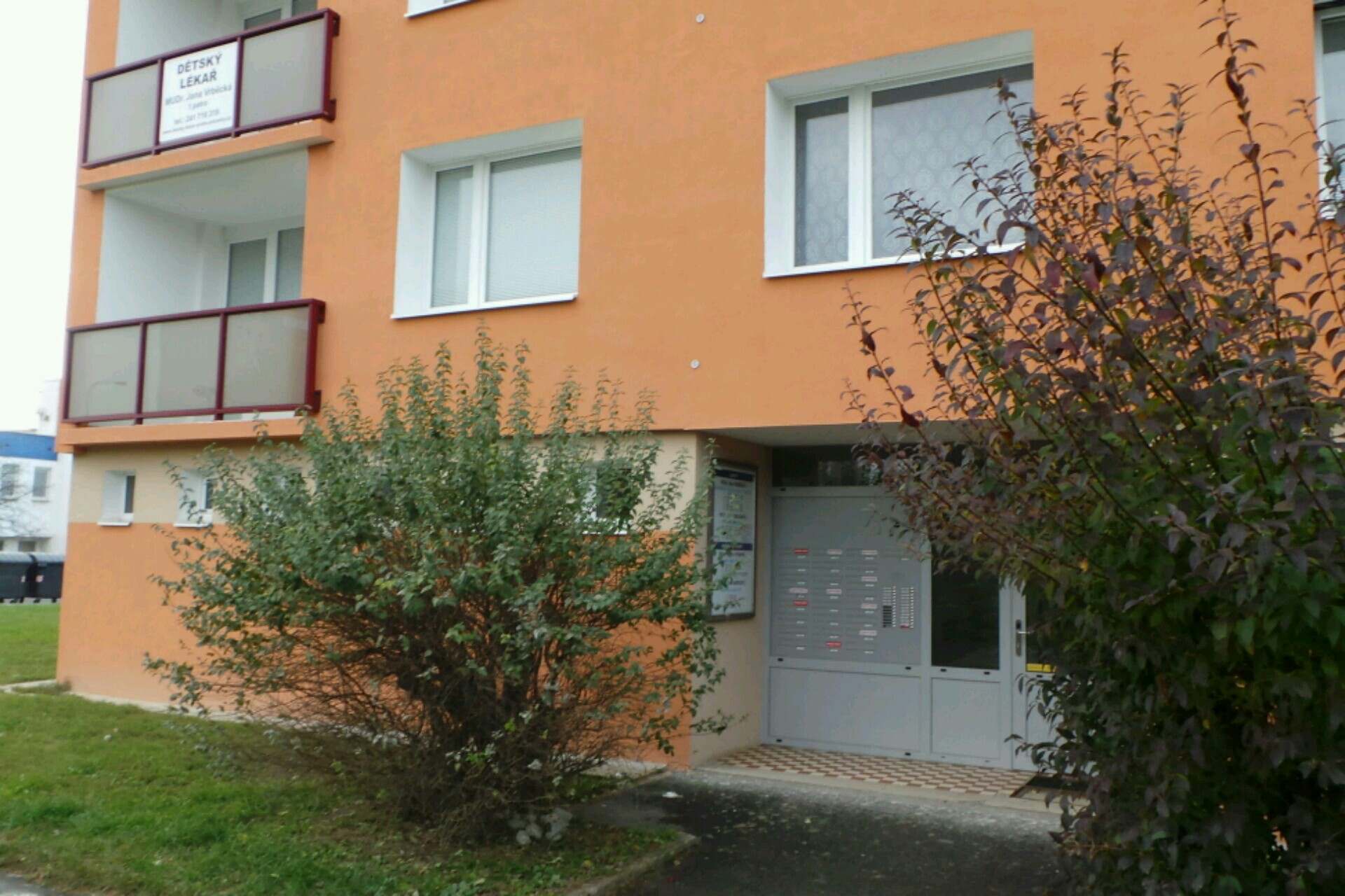 PaedDr. Věra Kopicová