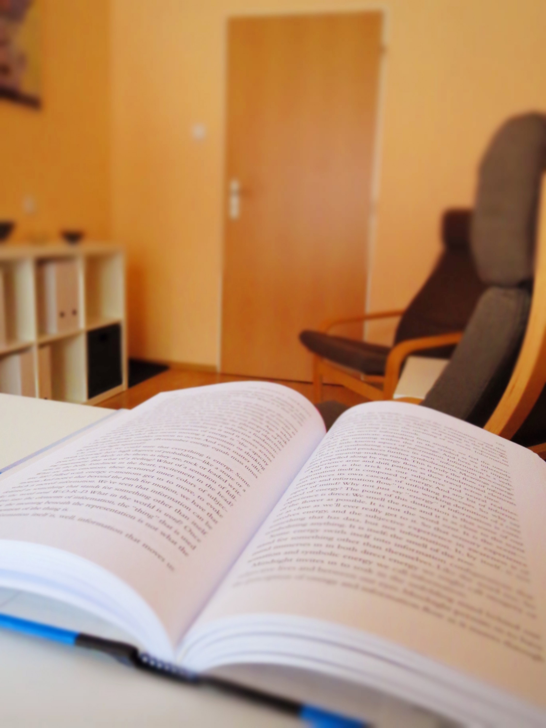 Terra Řeháková - Poradenství - Counseling foto 3