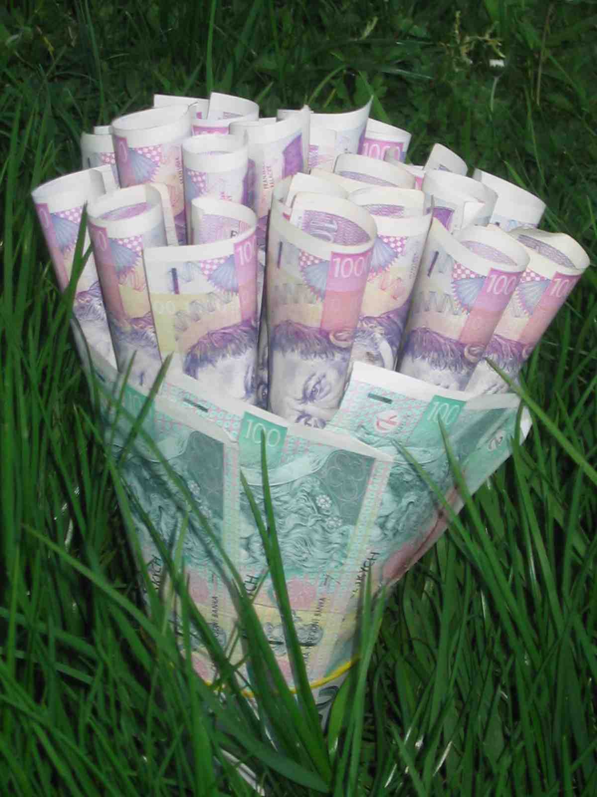 Finanční služby Zdeňka Motyčková foto 2