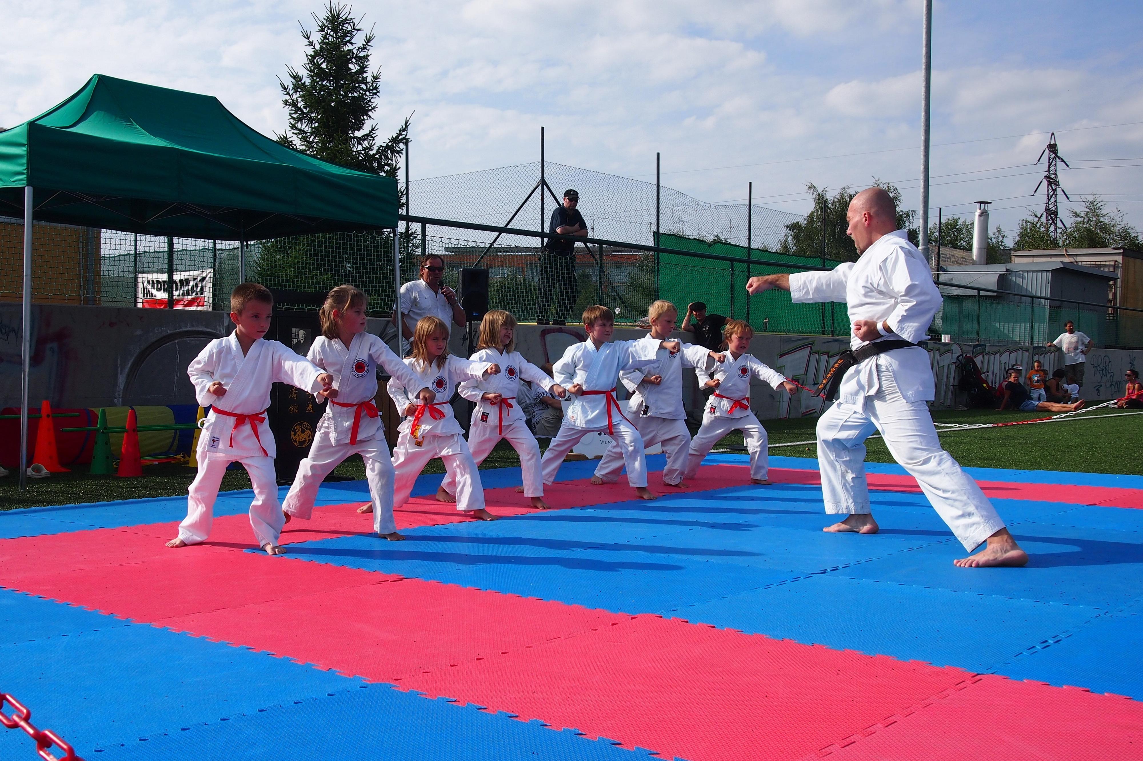 Sportovní klub bojových umění Hostivař foto 2