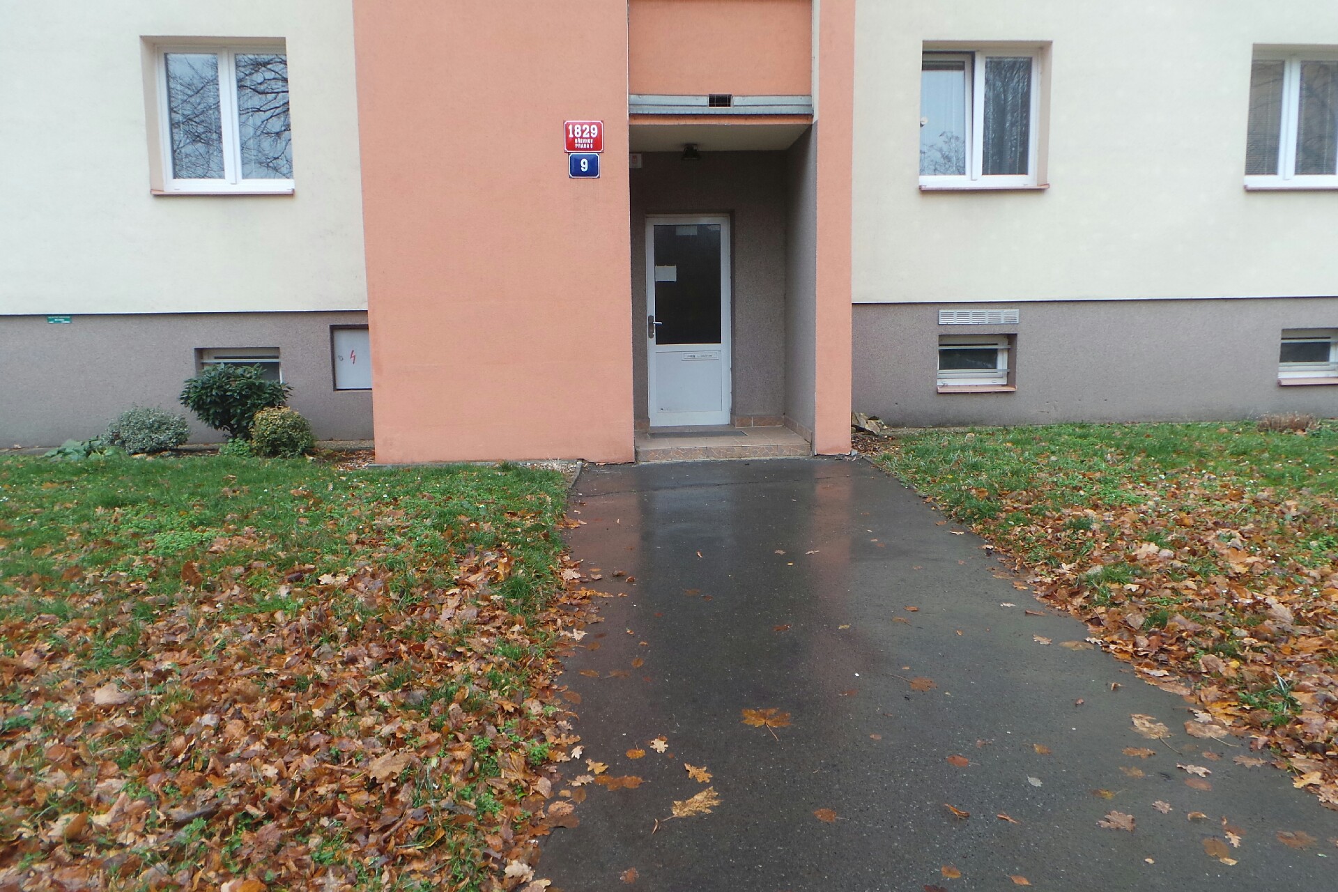 Michal Koudelka - Afro art