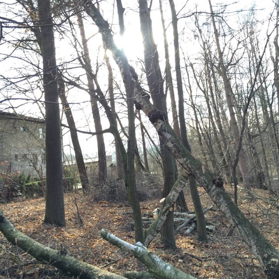 JJARBO foto 5