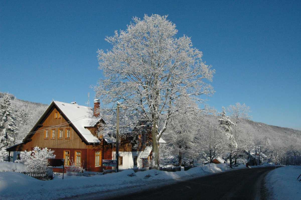 Penzion Pacifik