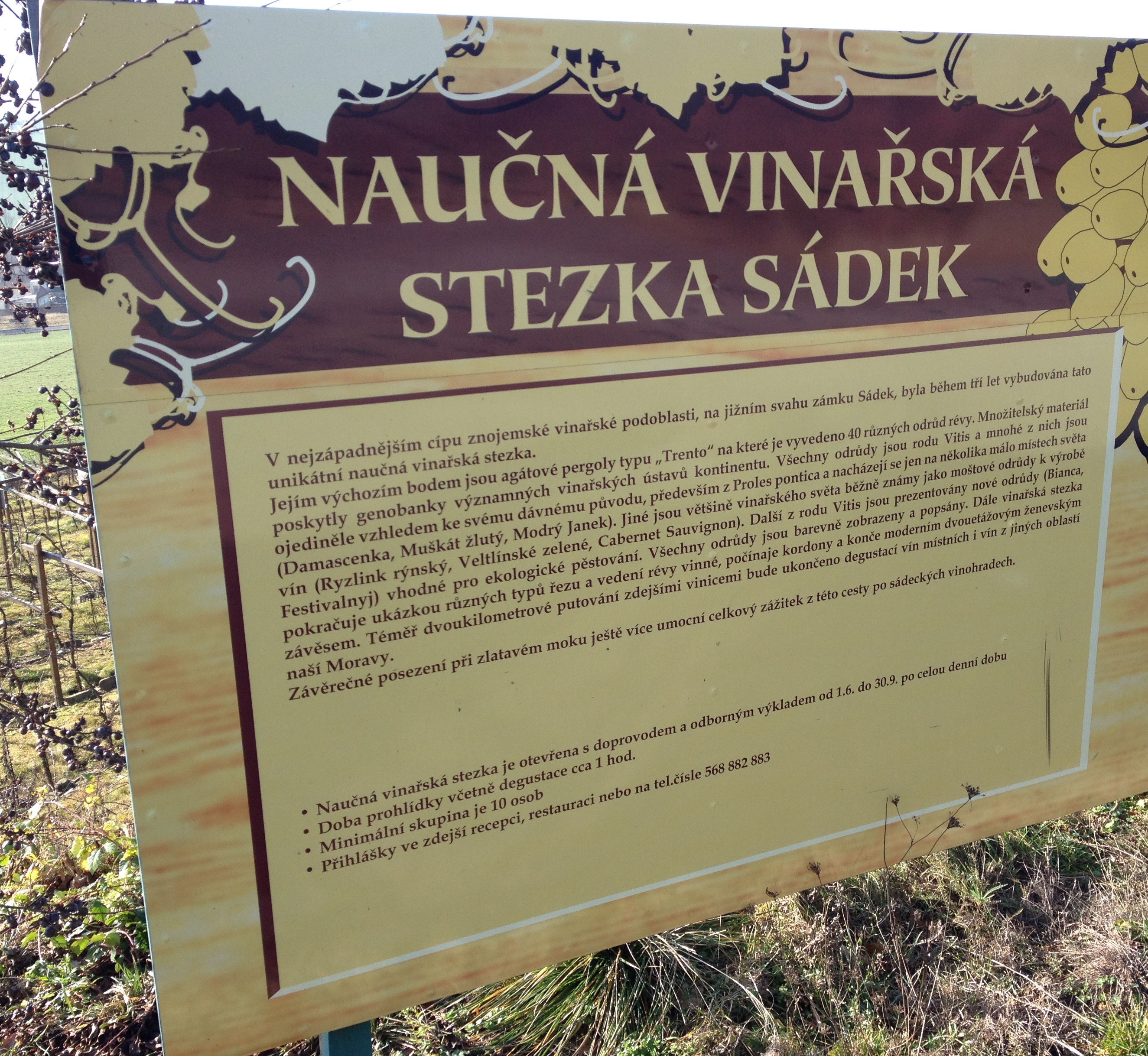 Vinařství Sádek *** foto 2
