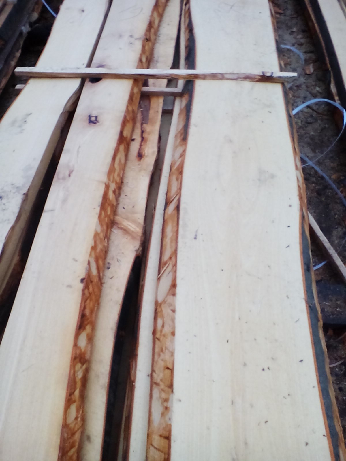 Jaroslav Mrázek - Čerpací stanice foto 4