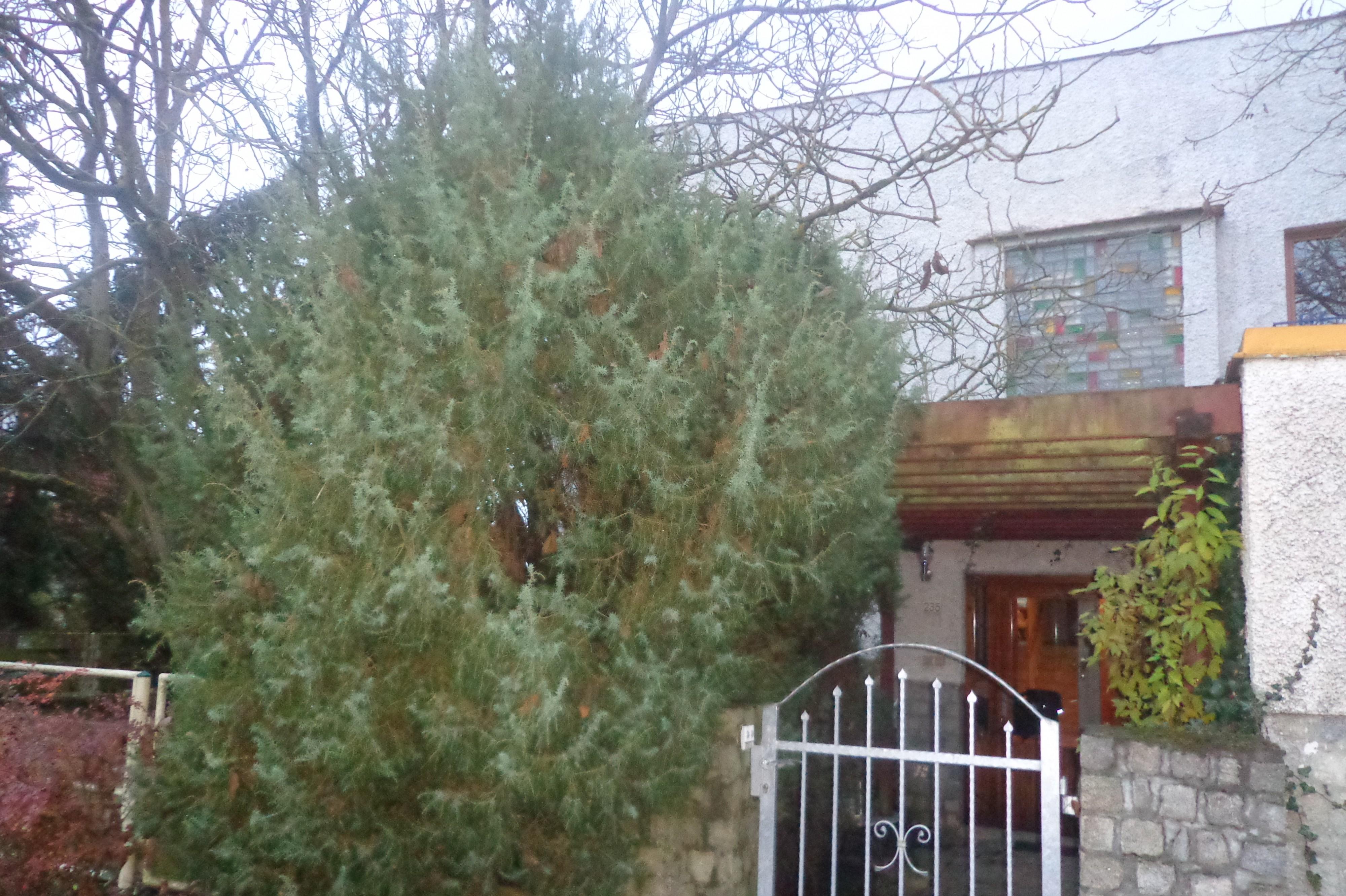 Ing. Václav Pekař foto 1