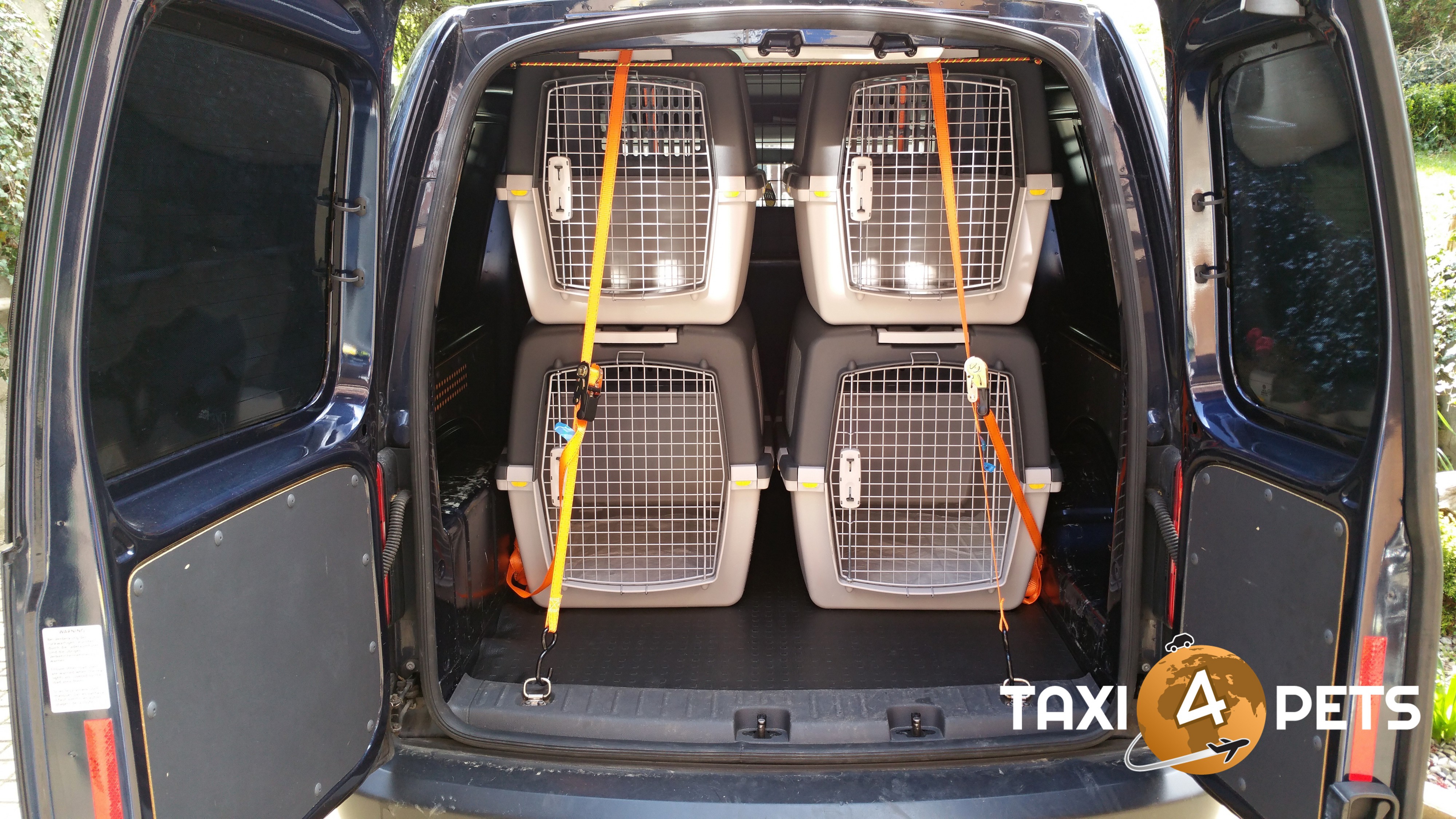TAXI4PETS foto 6