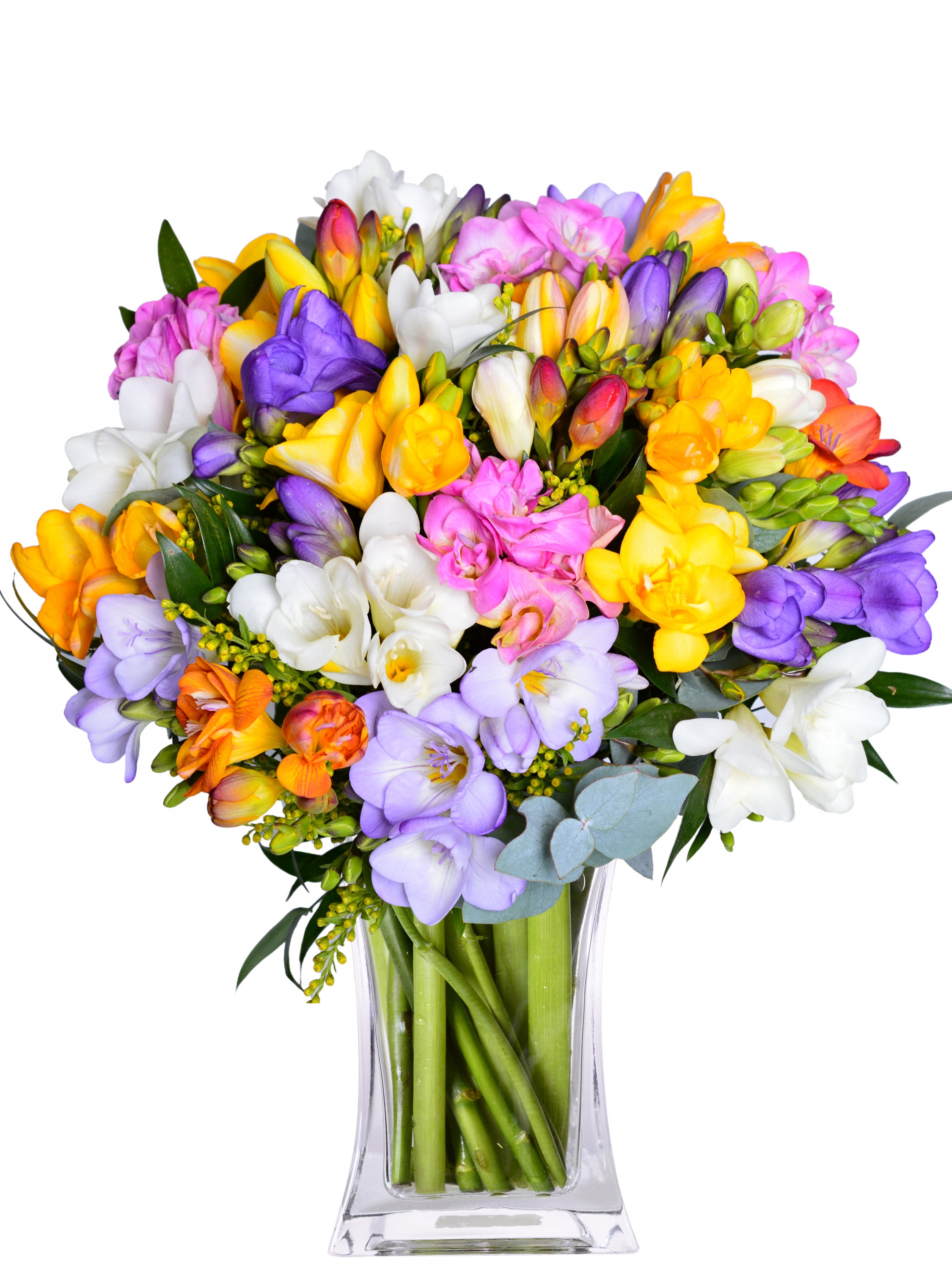 Flora online - rozvoz květin v ČR foto 4