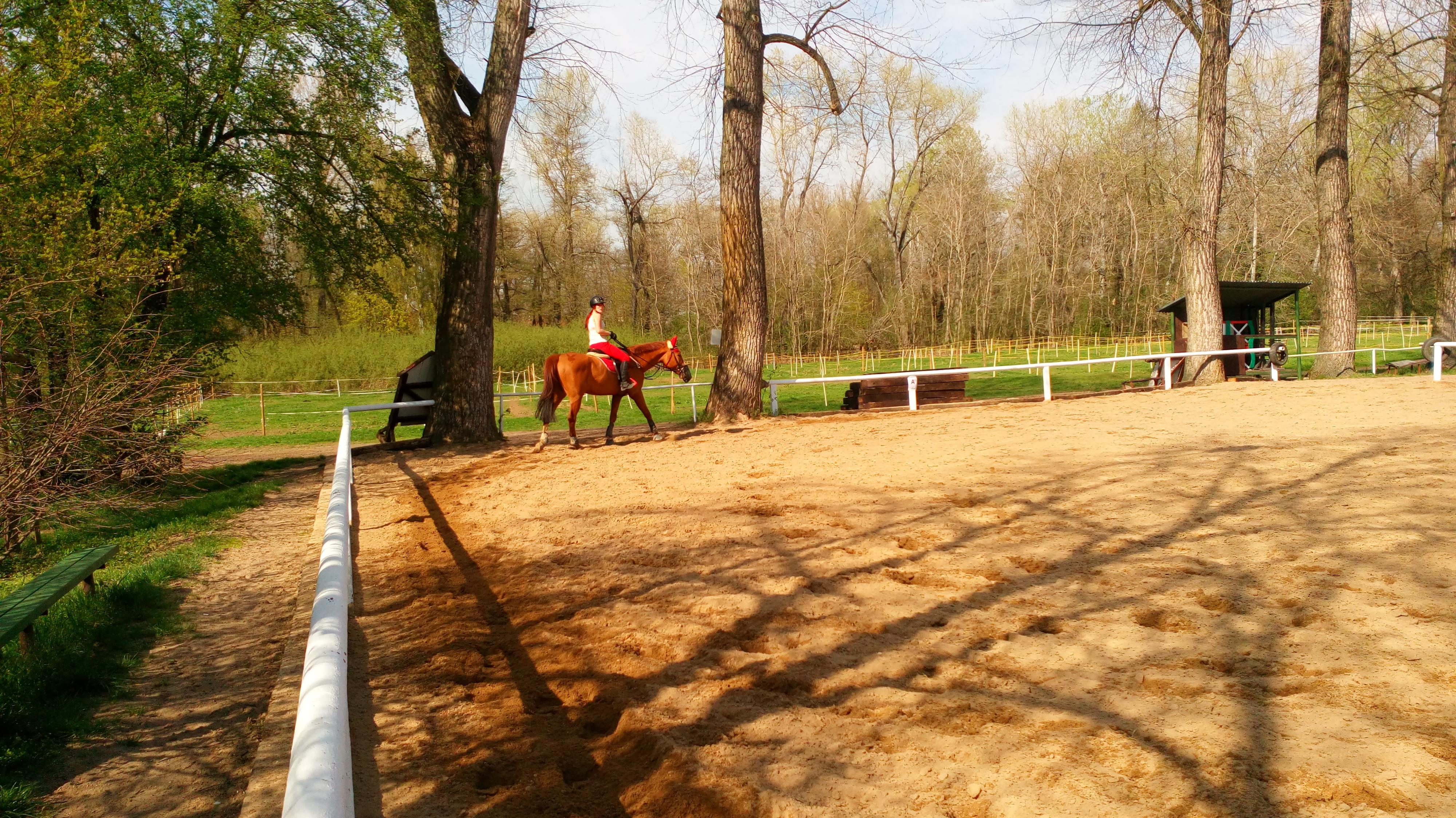 Jezdecký klub Stará Boleslav