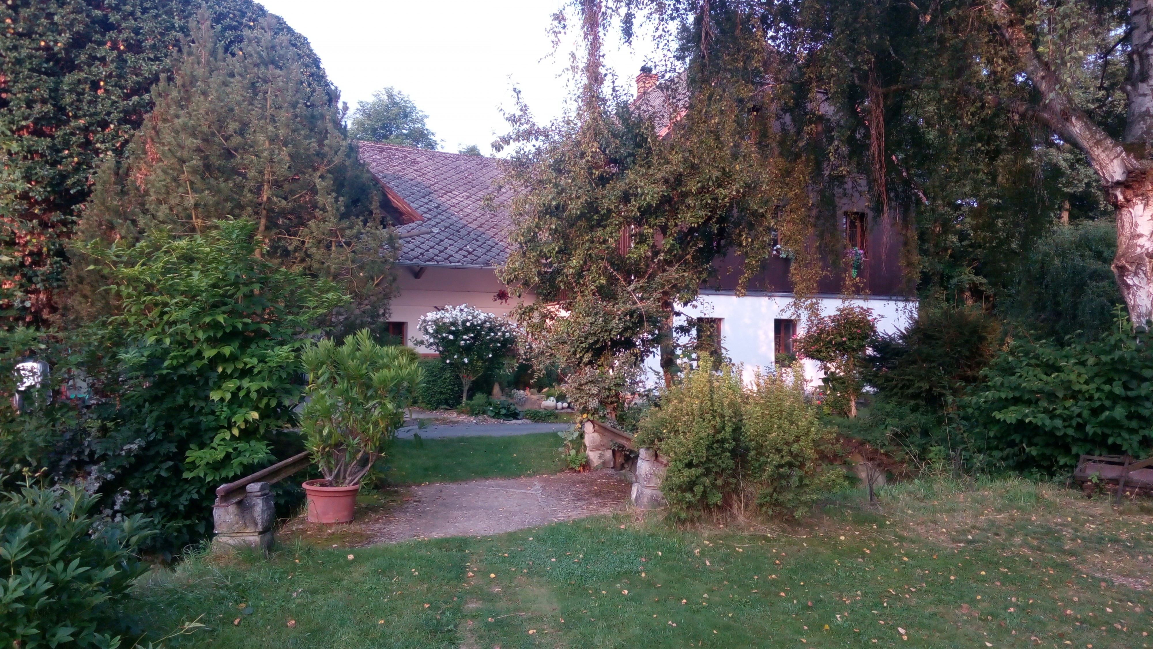 Ubytování Doly 427 foto 2