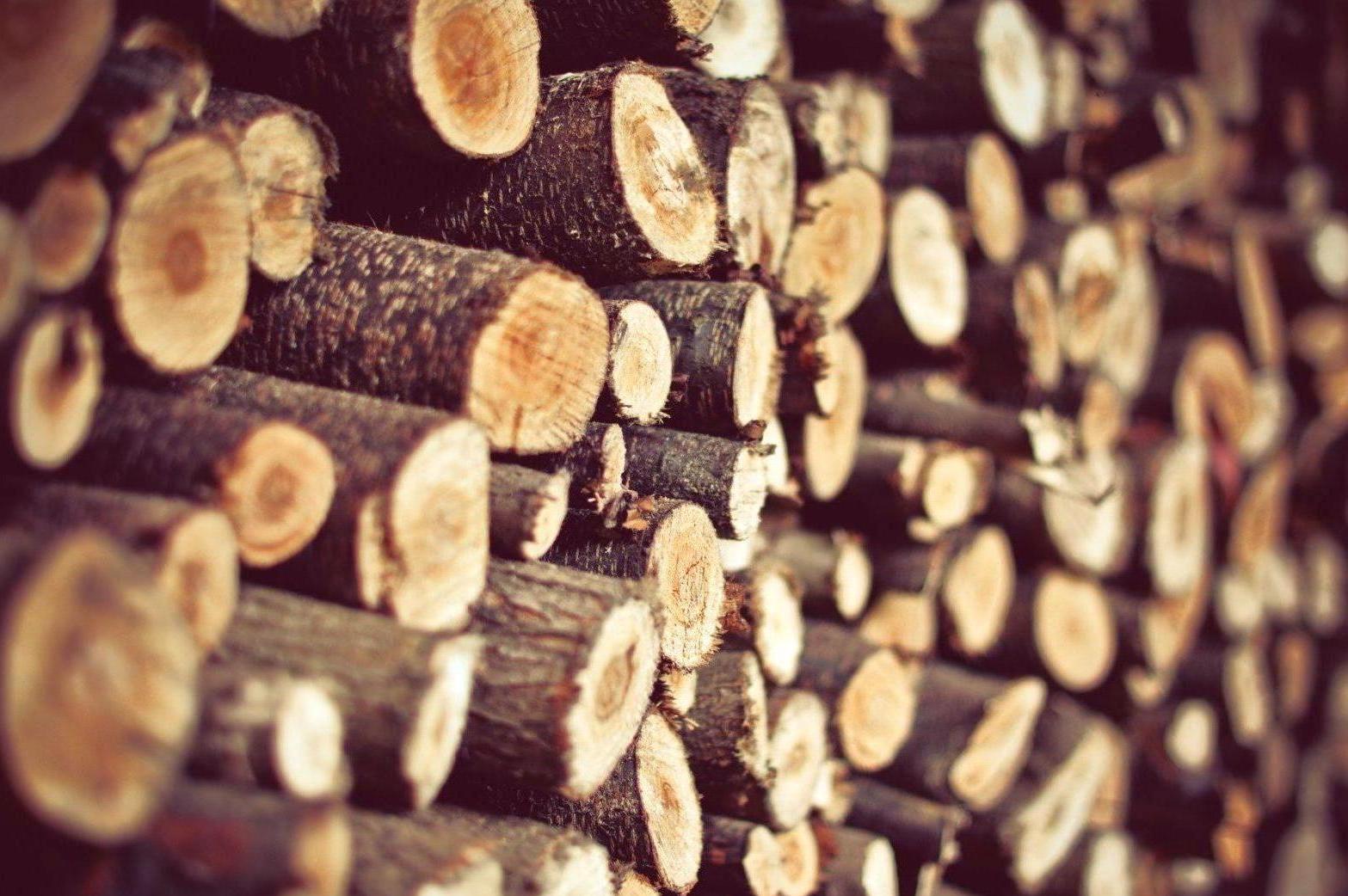 Palivové dřevo z Knovíze