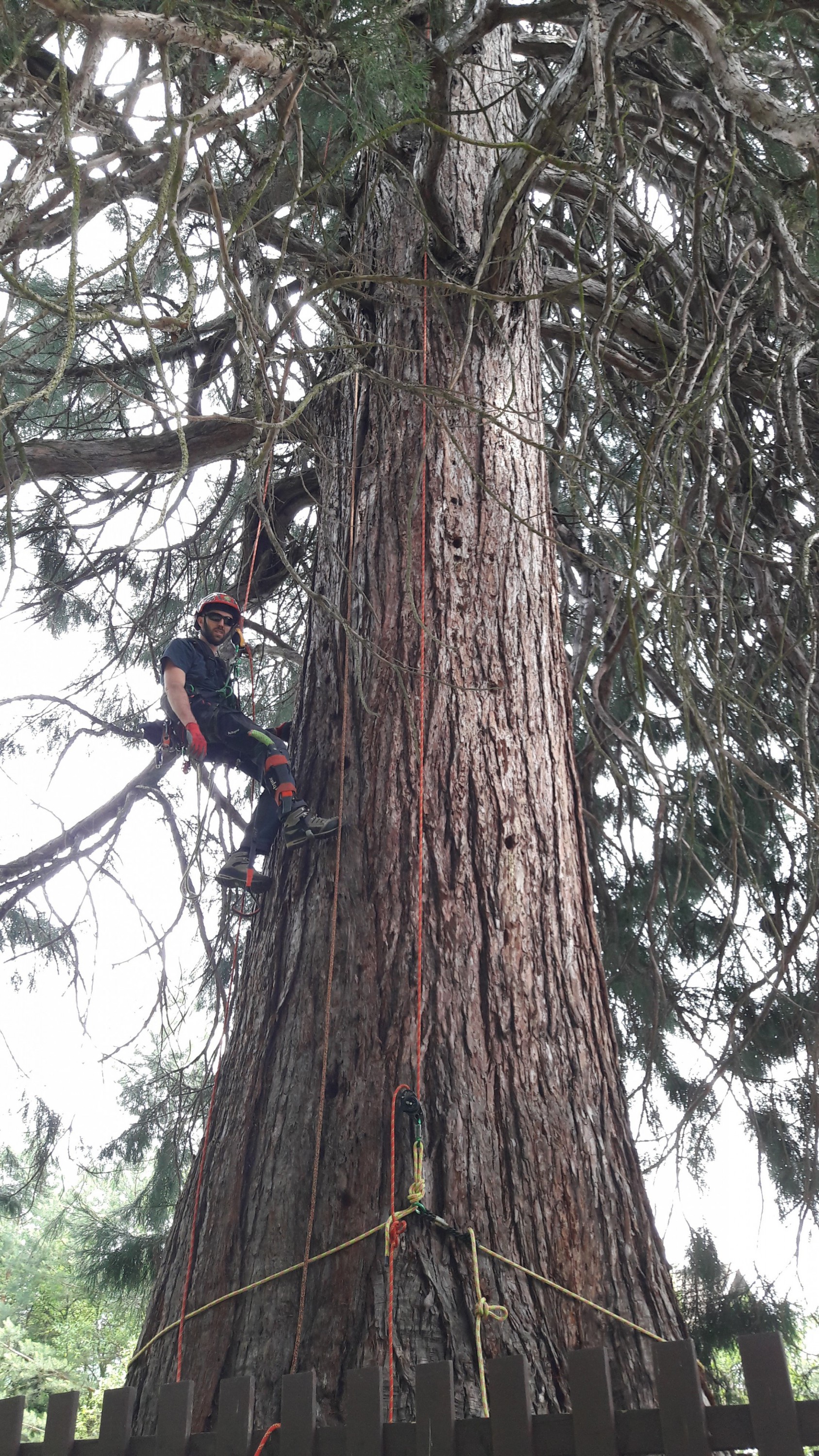 Bc. Jan Bártek foto 4