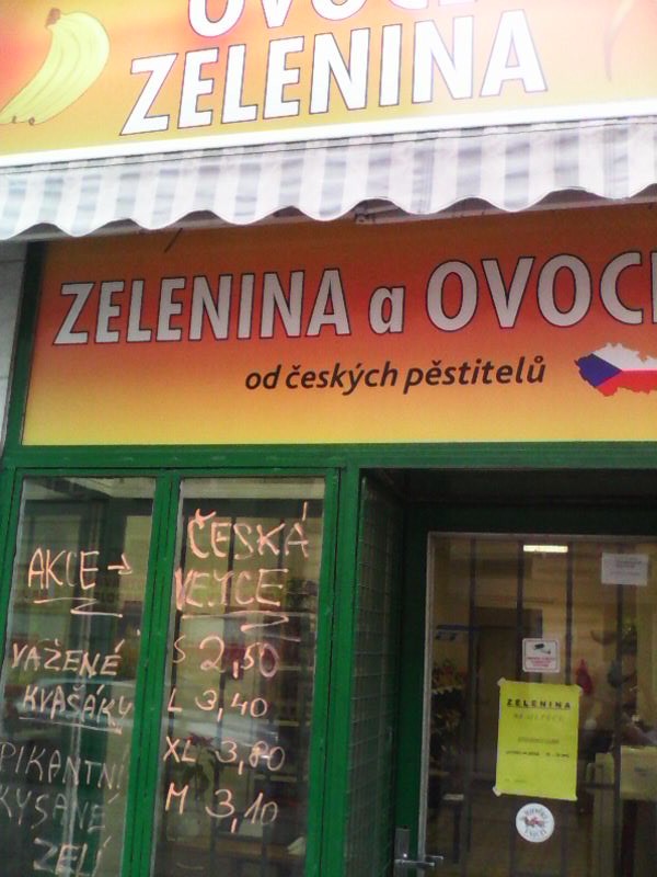 Pavla Králová foto 1