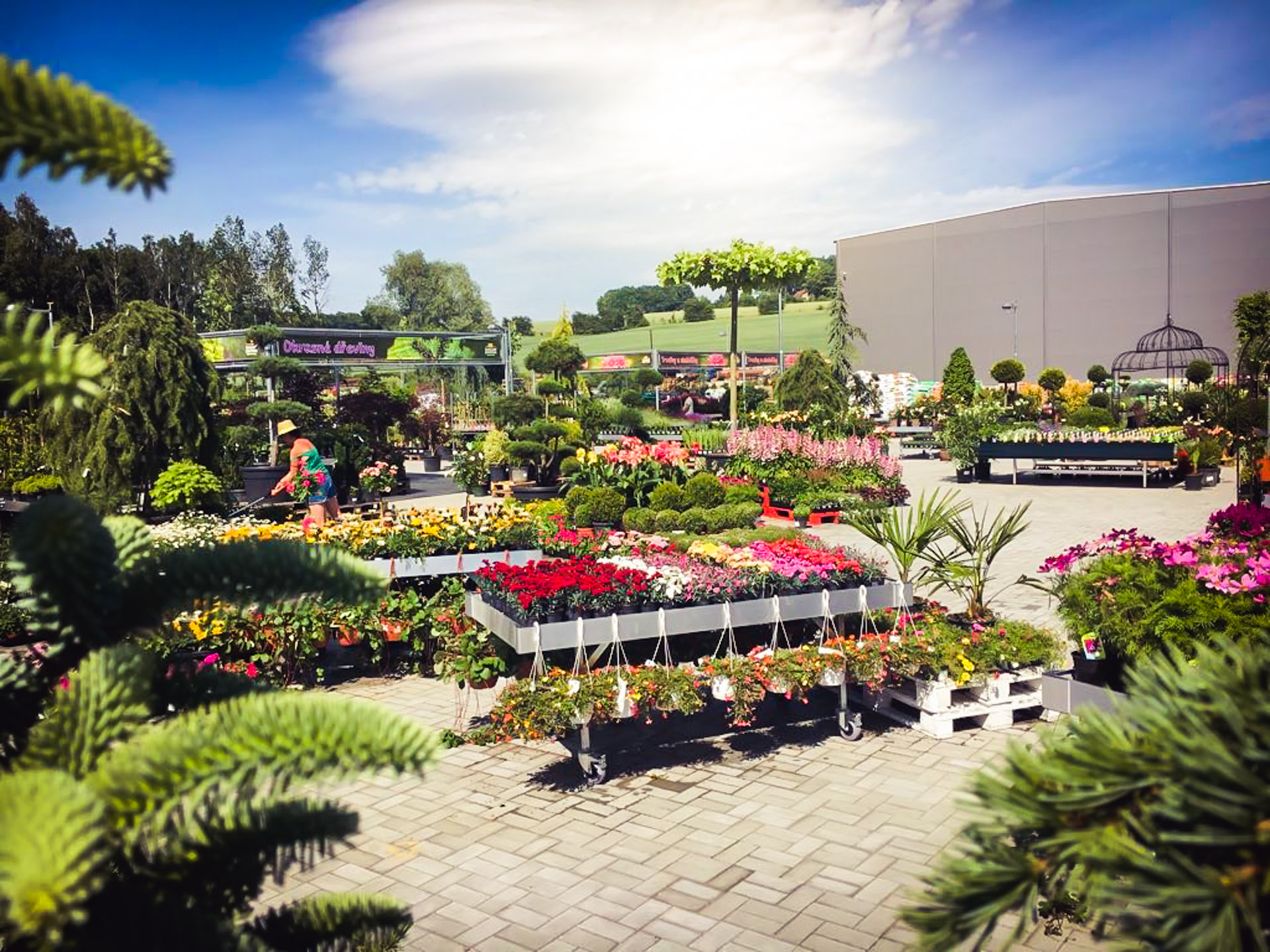 Zahradní centrum Valašské Meziříčí foto 2