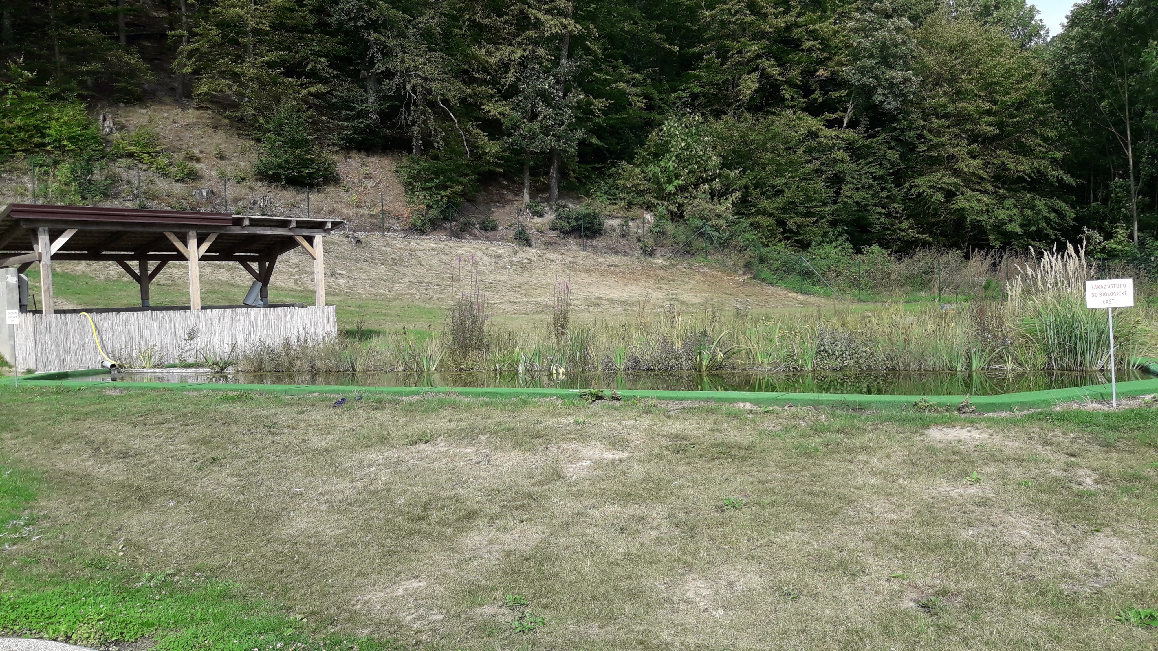 Koupaliště Paseka - přírodní biotop foto 2