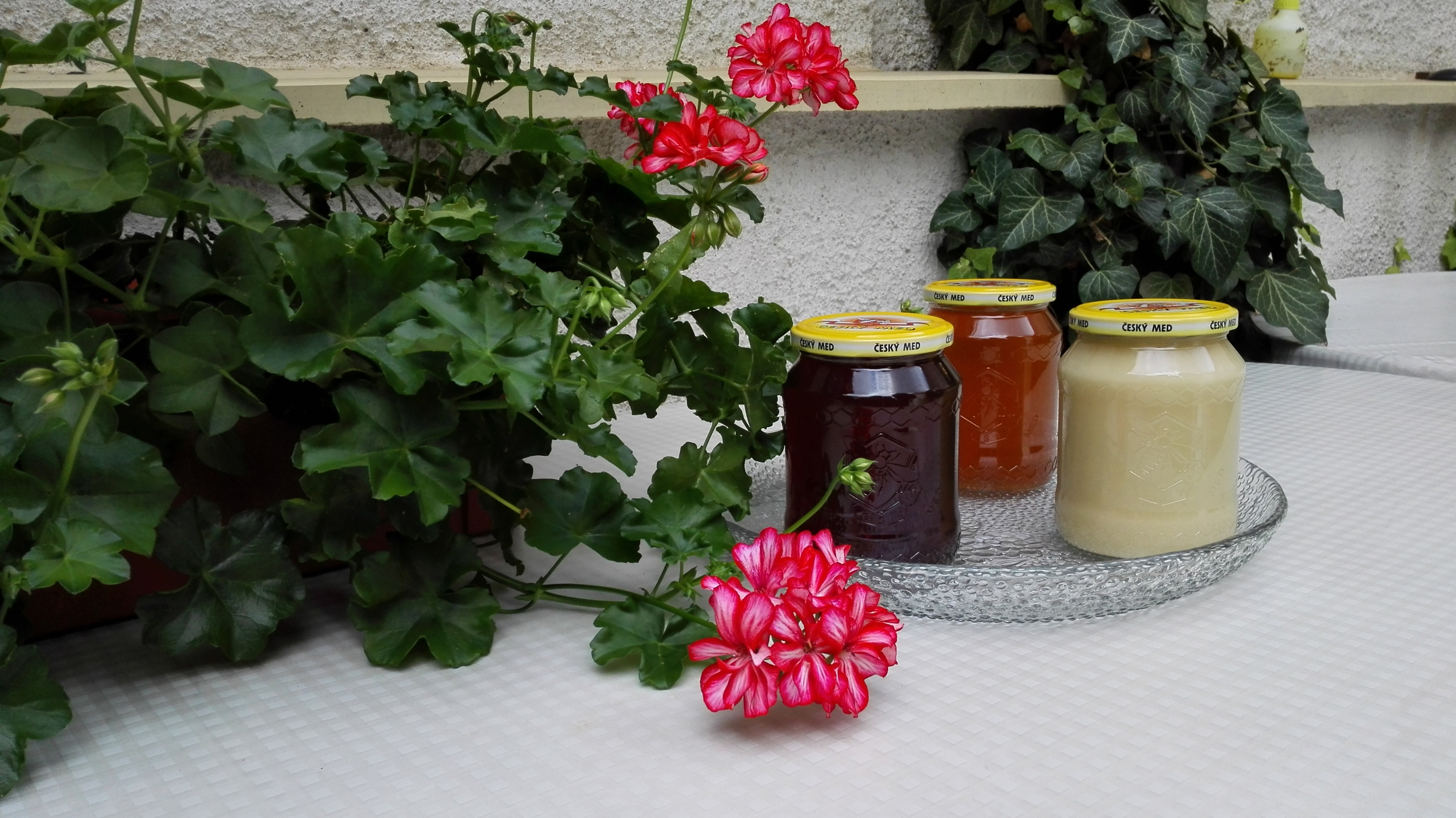 Včelařství Vymazal foto 3