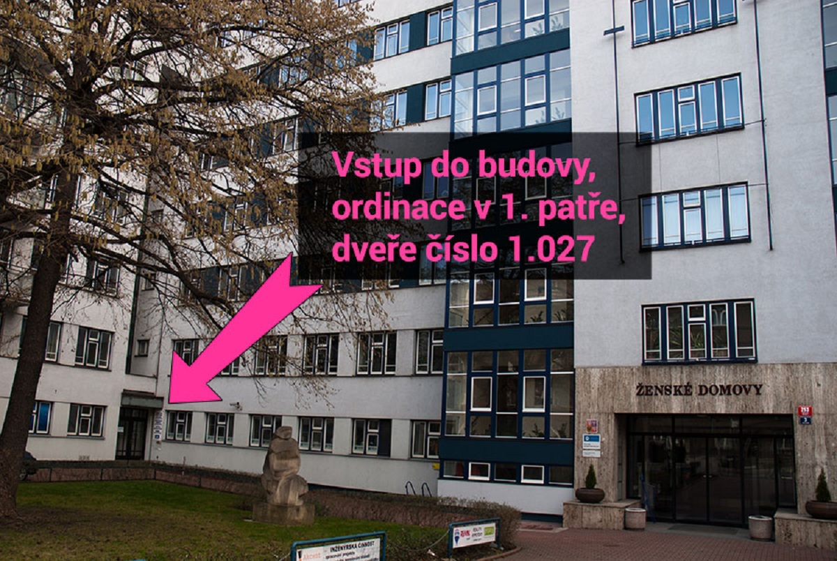 Dentální hygienistka - Kristina Bendlová, DiS. foto 2